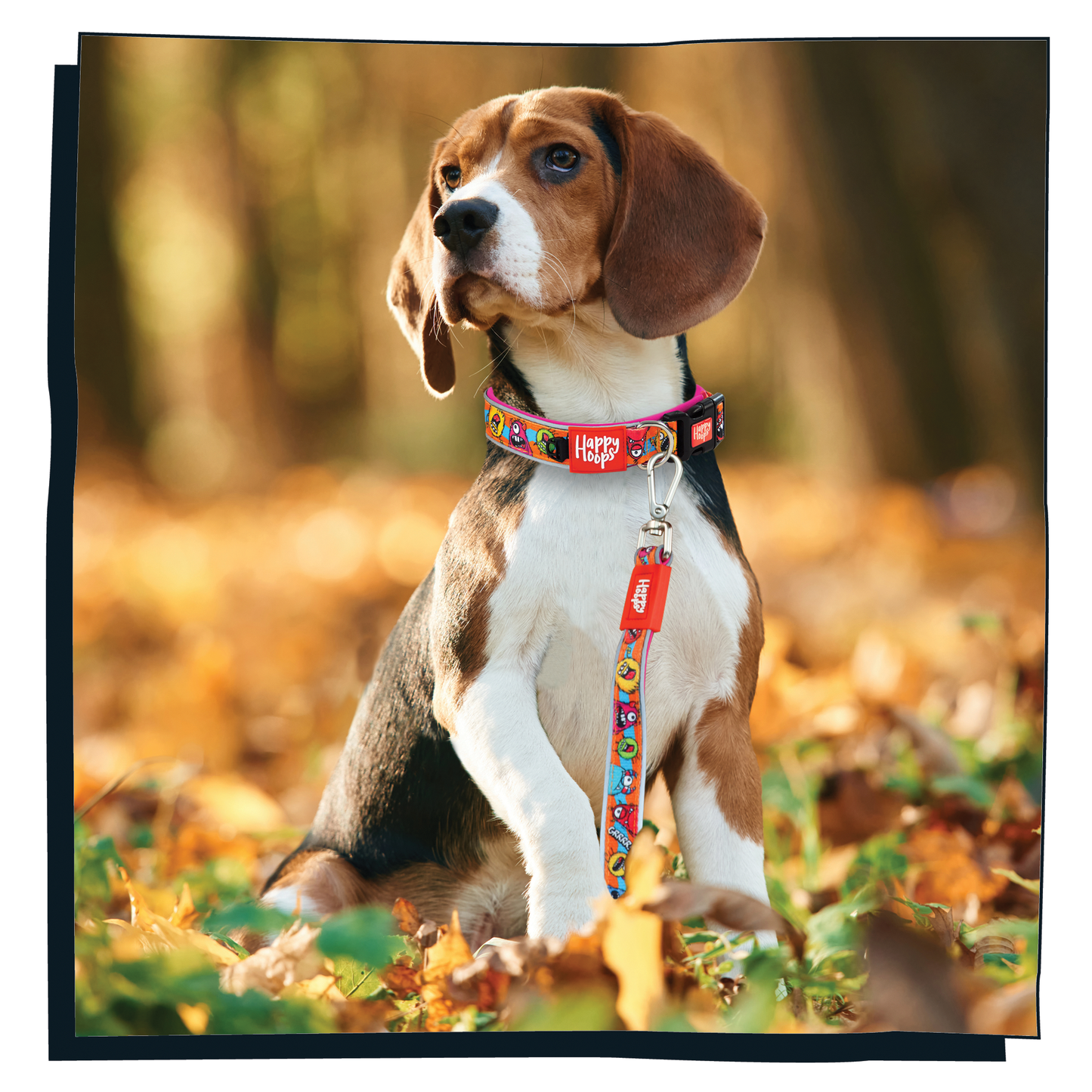 'Lil' Monsters' Dog Lead