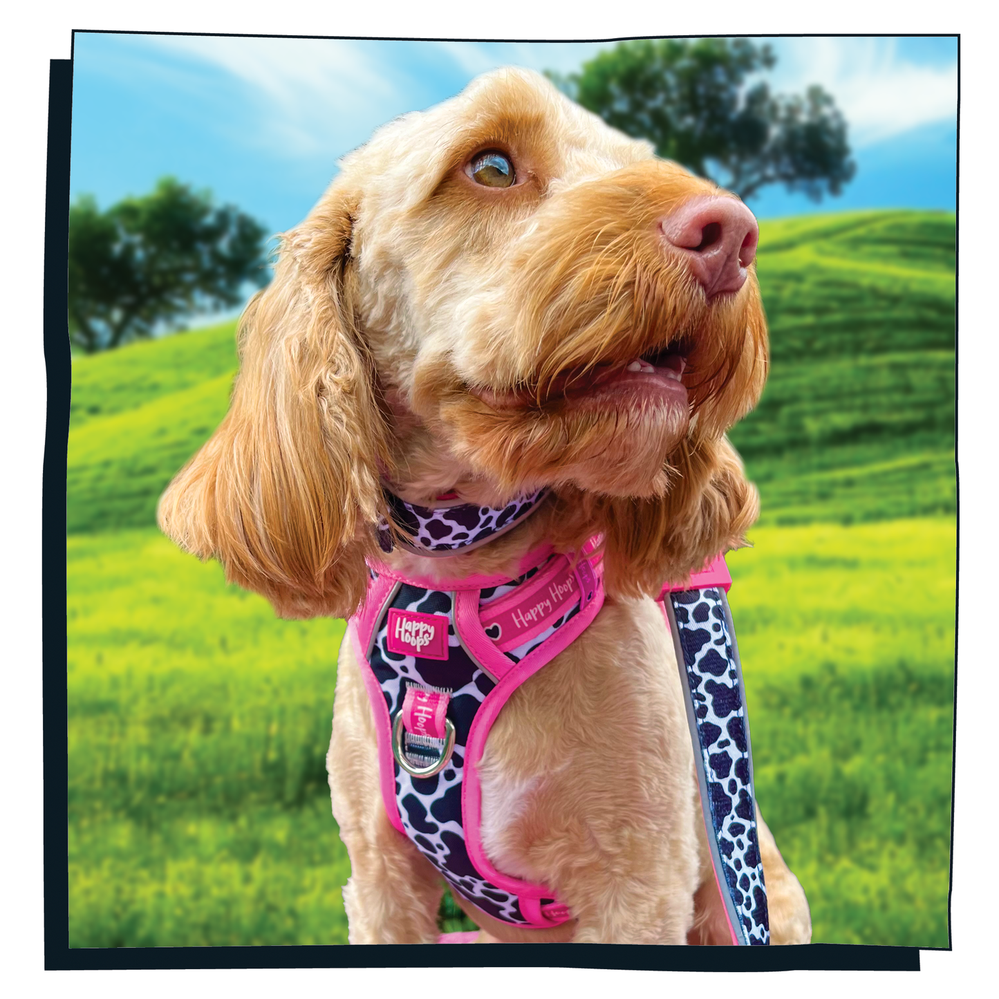 'Udderly Perfect' Happy Harness