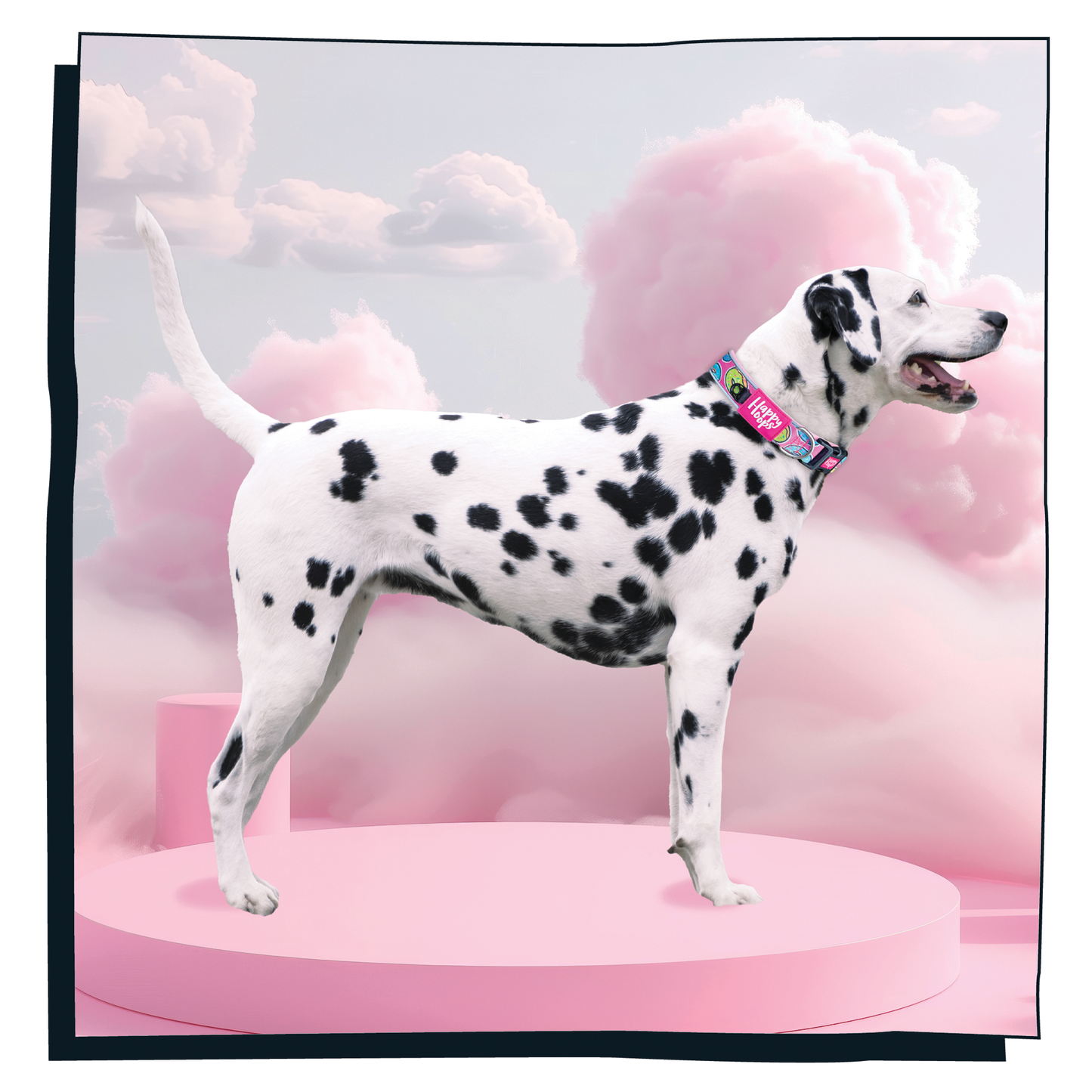 Dalmation dog wearing pink Happy Hoops dog collar with funky donut print design with plush pink neoprene padding, reflective strips and velcro size adjustment