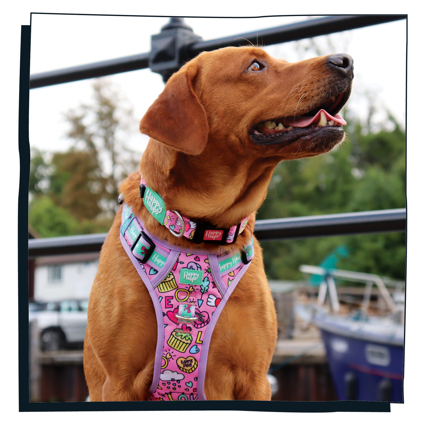 'Puppy Love' Happy Harness