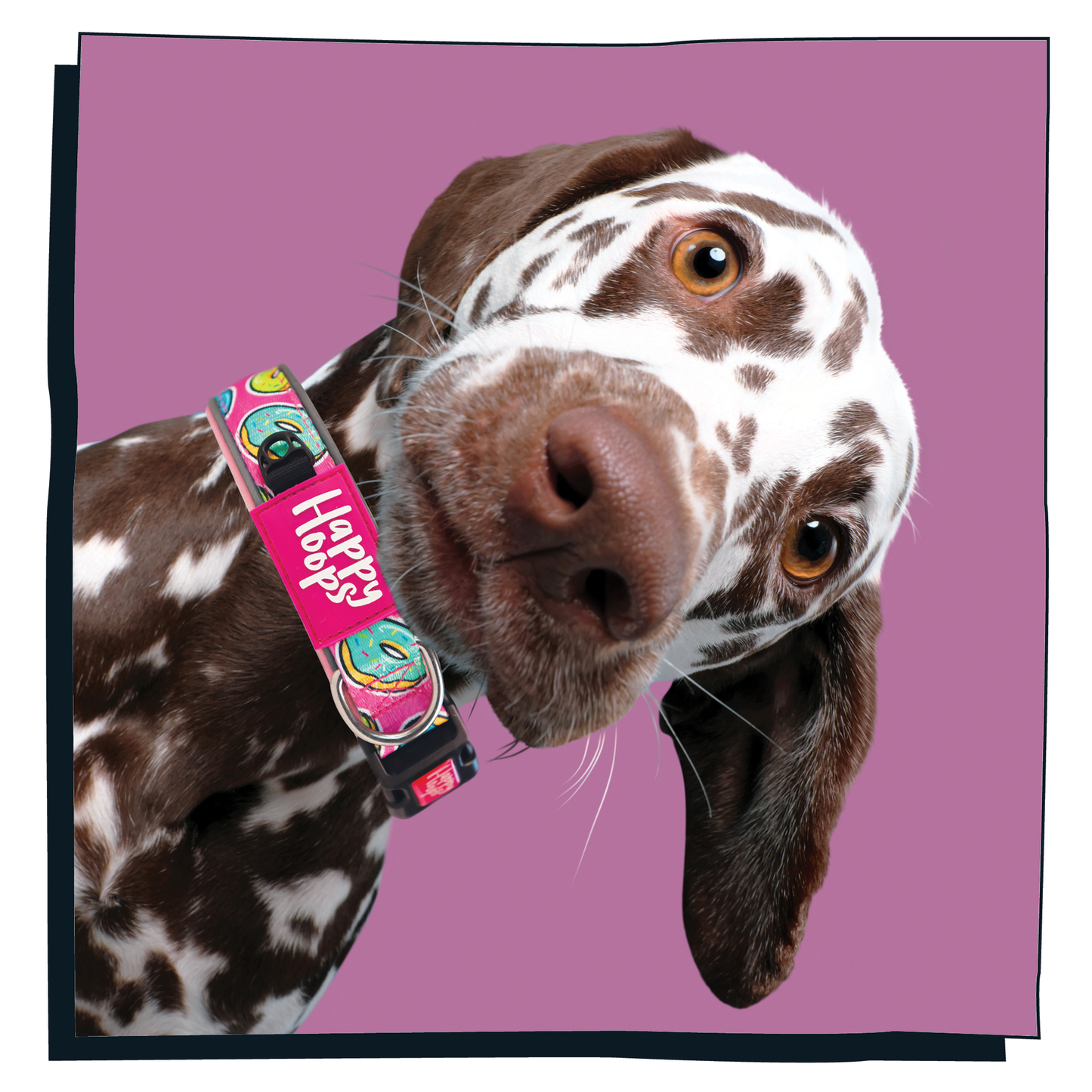 'Doggy Donut' Dog Collar