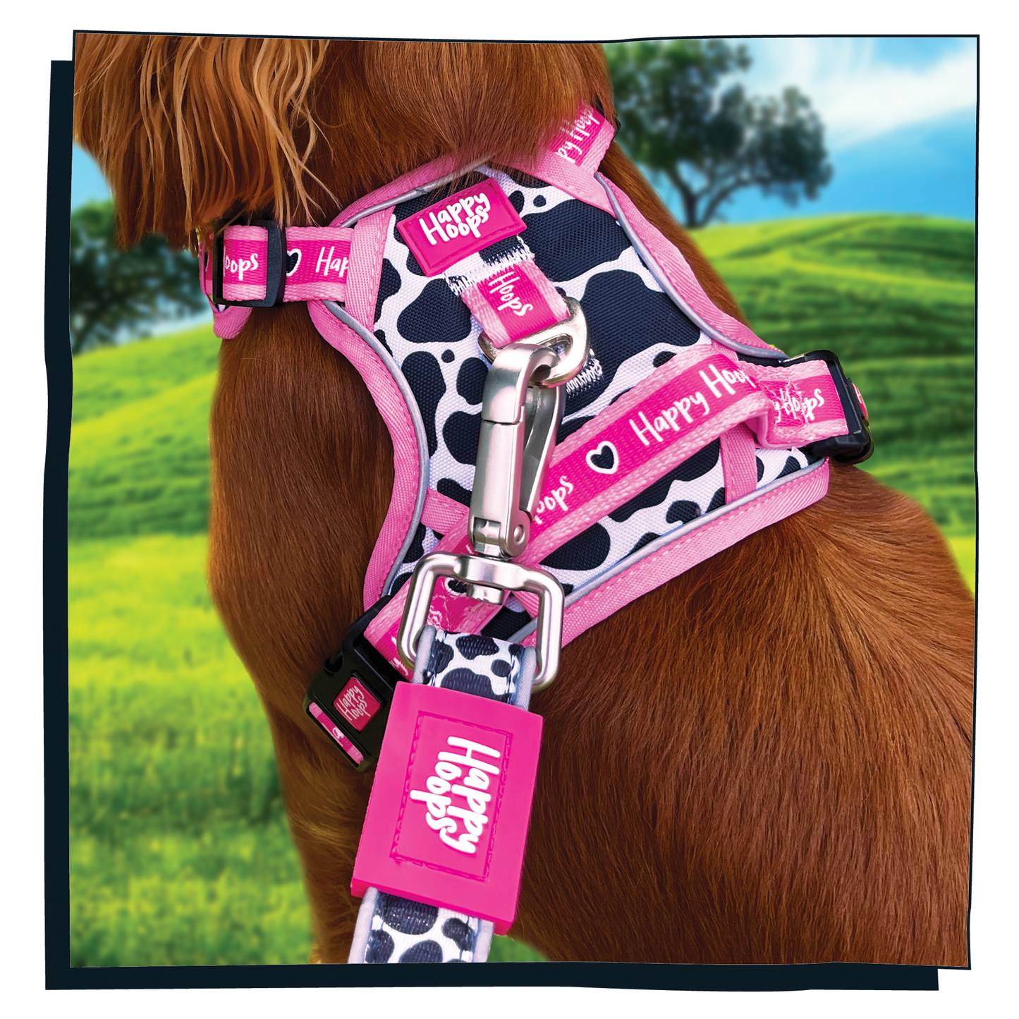 'Udderly Perfect' Happy Harness
