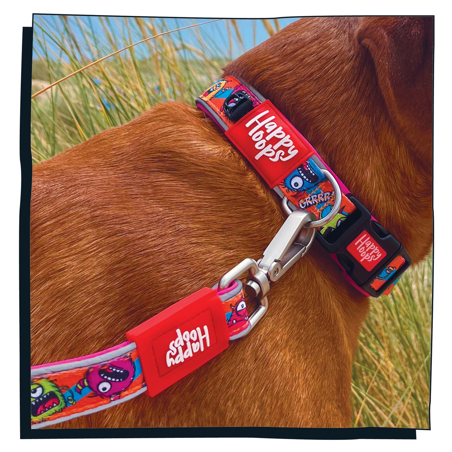 Dog wearing Happy Hoops cute and funky multicolour dog collar with colourful monster design with plush purple neoprene padding, reflective strips and velcro size adjustment