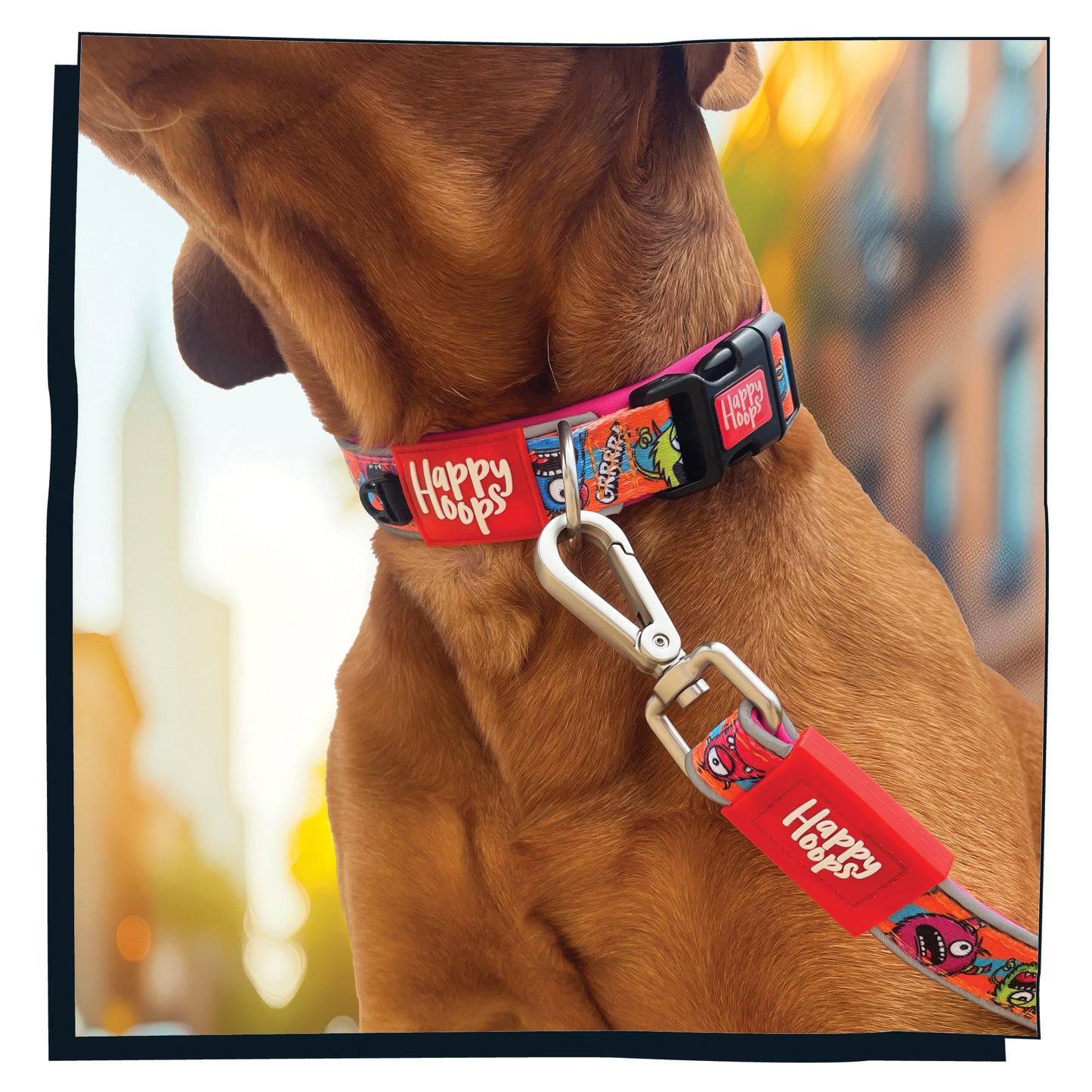 Dog wearing Happy Hoops cute and funky multicolour dog collar with colourful monster design with plush purple neoprene padding, reflective strips and velcro size adjustment