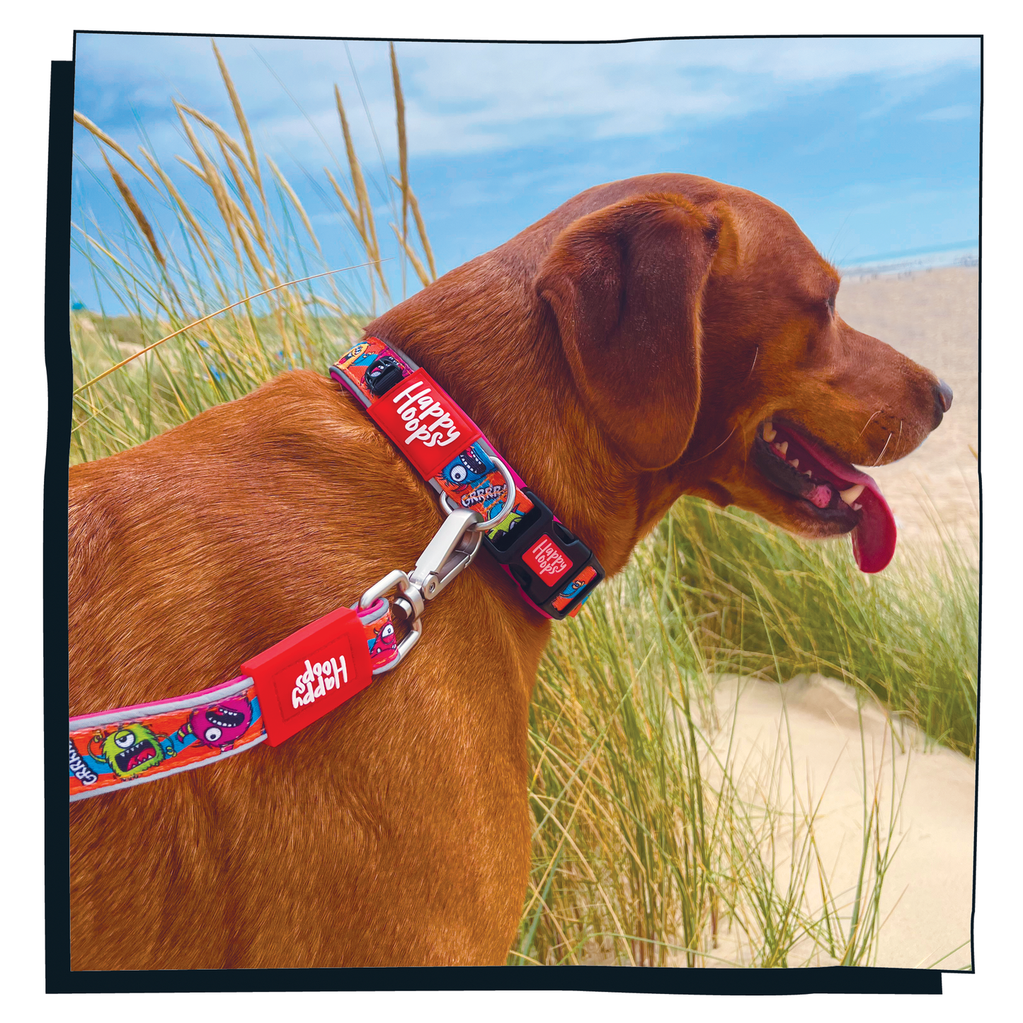 Labrador wearing blue and orange Happy Hoops dog lead with funky monsters print design with plush purple neoprene padding, reflective strips, robust 360 degree metal rotating clasp and rust proof stainless steel D-ring.