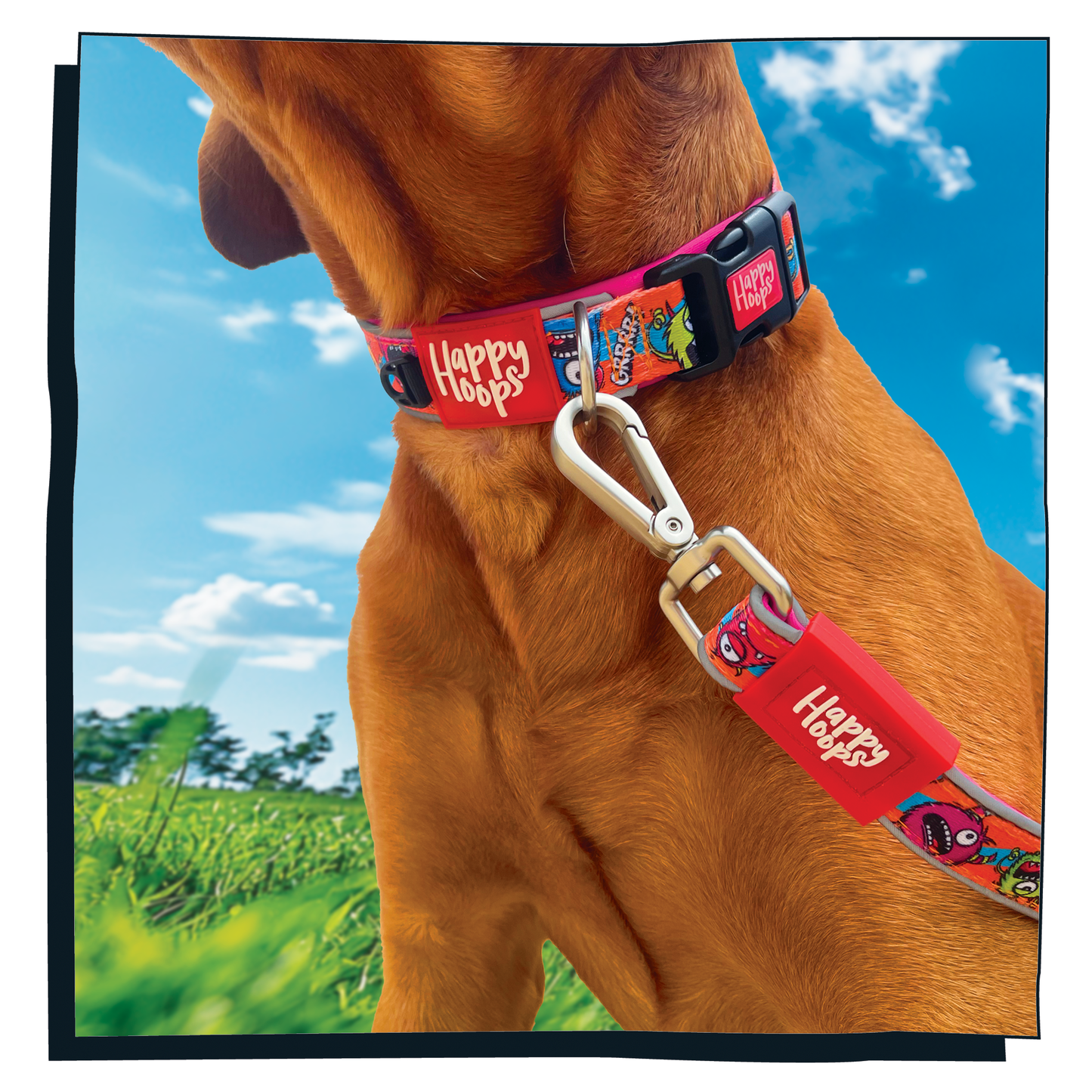 Dog wearing blue and orange Happy Hoops dog lead with funky monsters print design with plush purple neoprene padding, reflective strips, robust 360 degree metal rotating clasp and rust proof stainless steel D-ring.
