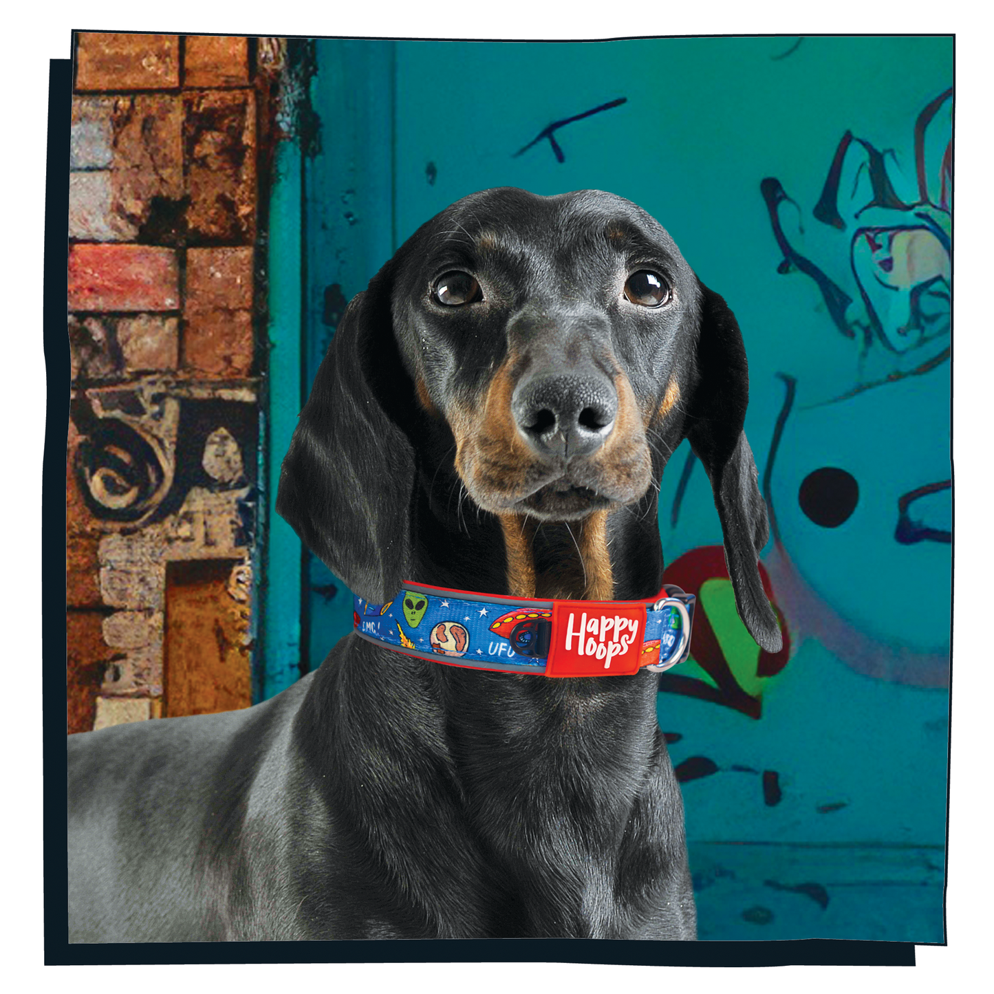 'Out of this World' Dog Collar