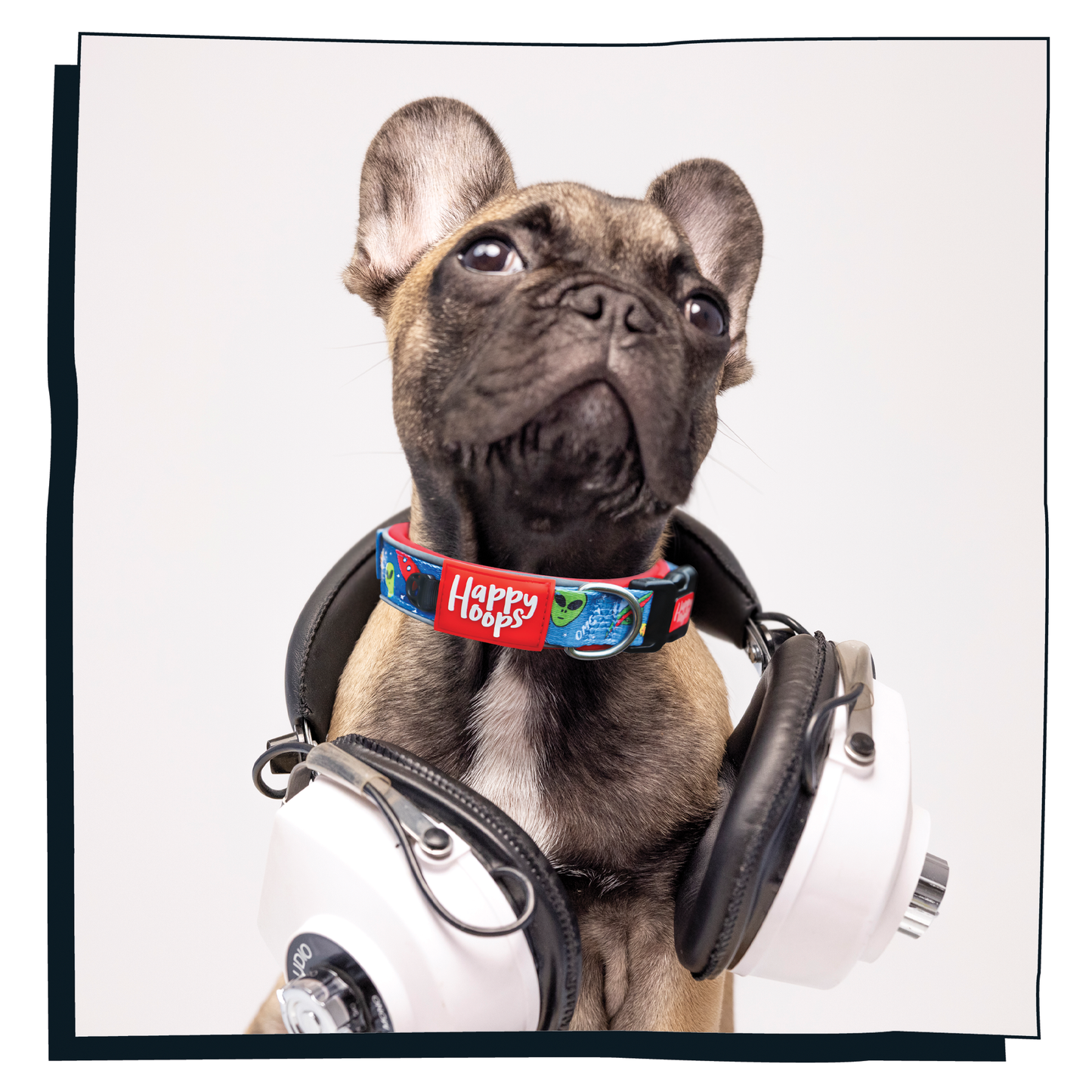 Frenchie Dog wearing Happy Hoops 'Out of this World' cute and funky dog collar with colourful alien design with plush red neoprene padding and velcro size adjustment