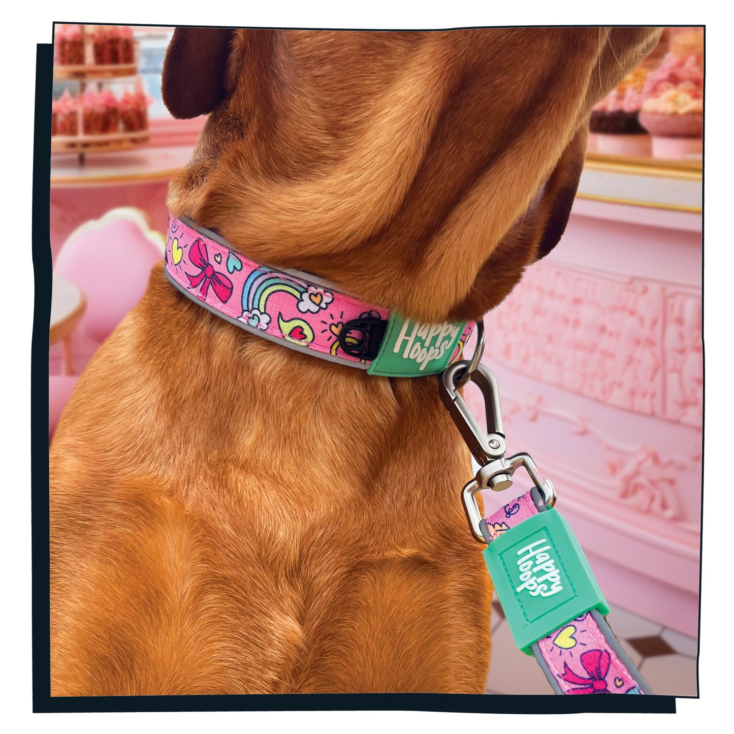 Dog wearing a pink Happy Hoops dog collar with colourful and funky love design with plush lilac neoprene padding, reflective strips and velcro size adjustment