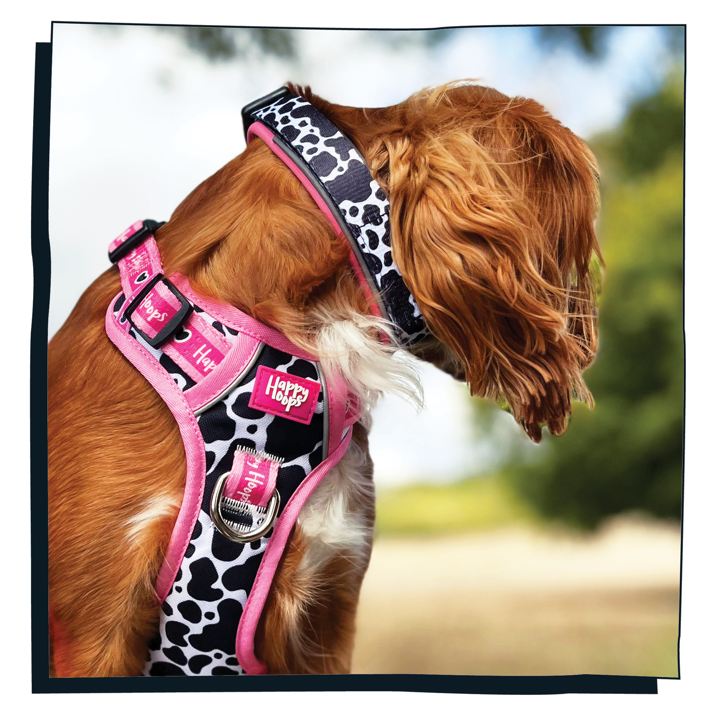 'Udderly Perfect' Dog Collar