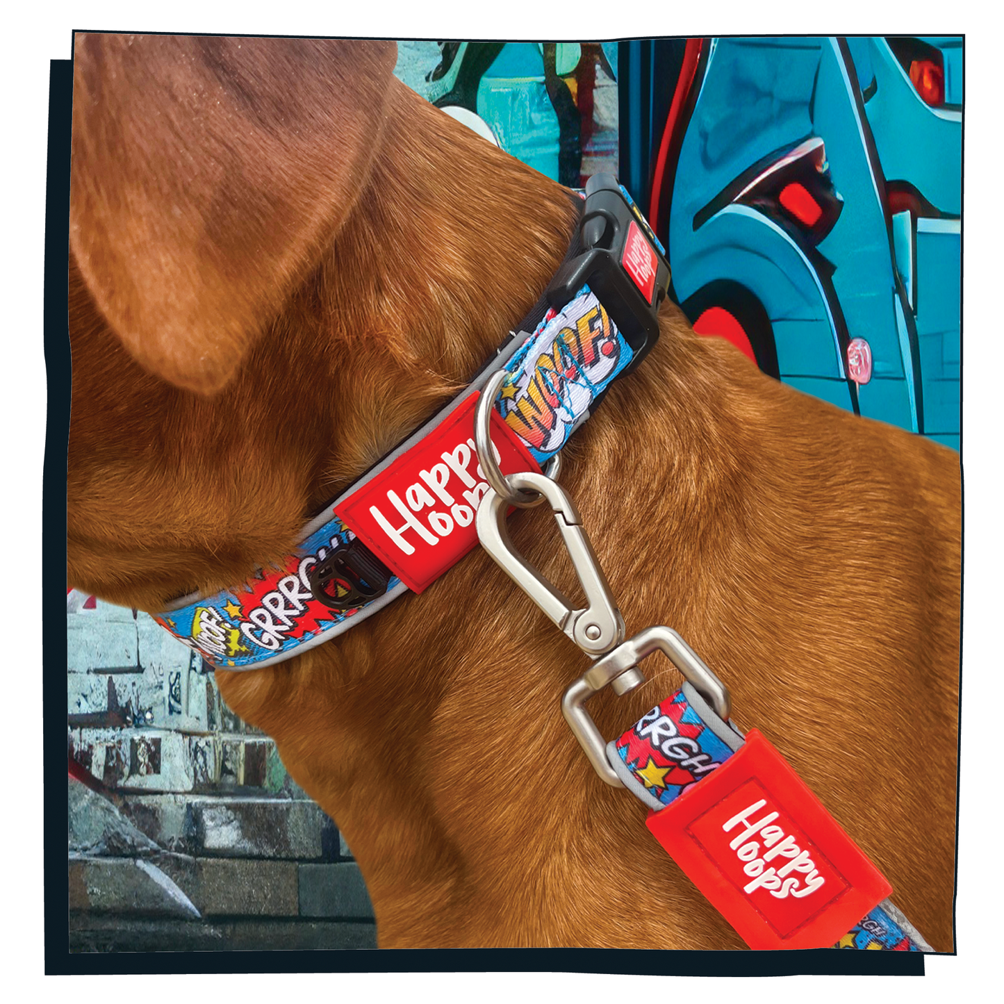 Dog wearing Happy Hoops cute and funky multicolour dog collar with cute colourful Woof design with plush black neoprene padding, reflective strips and velcro size adjustment