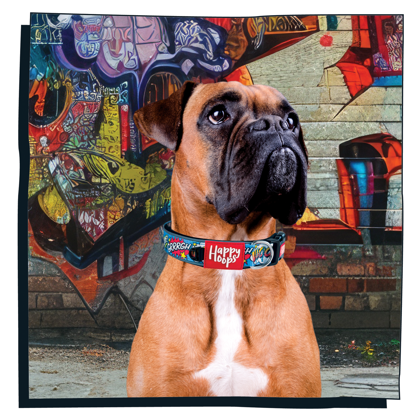 Boxer dog wearing a Happy Hoops cute and funky multicolour dog collar with cute colourful Woof design with plush black neoprene padding, reflective strips and velcro size adjustment