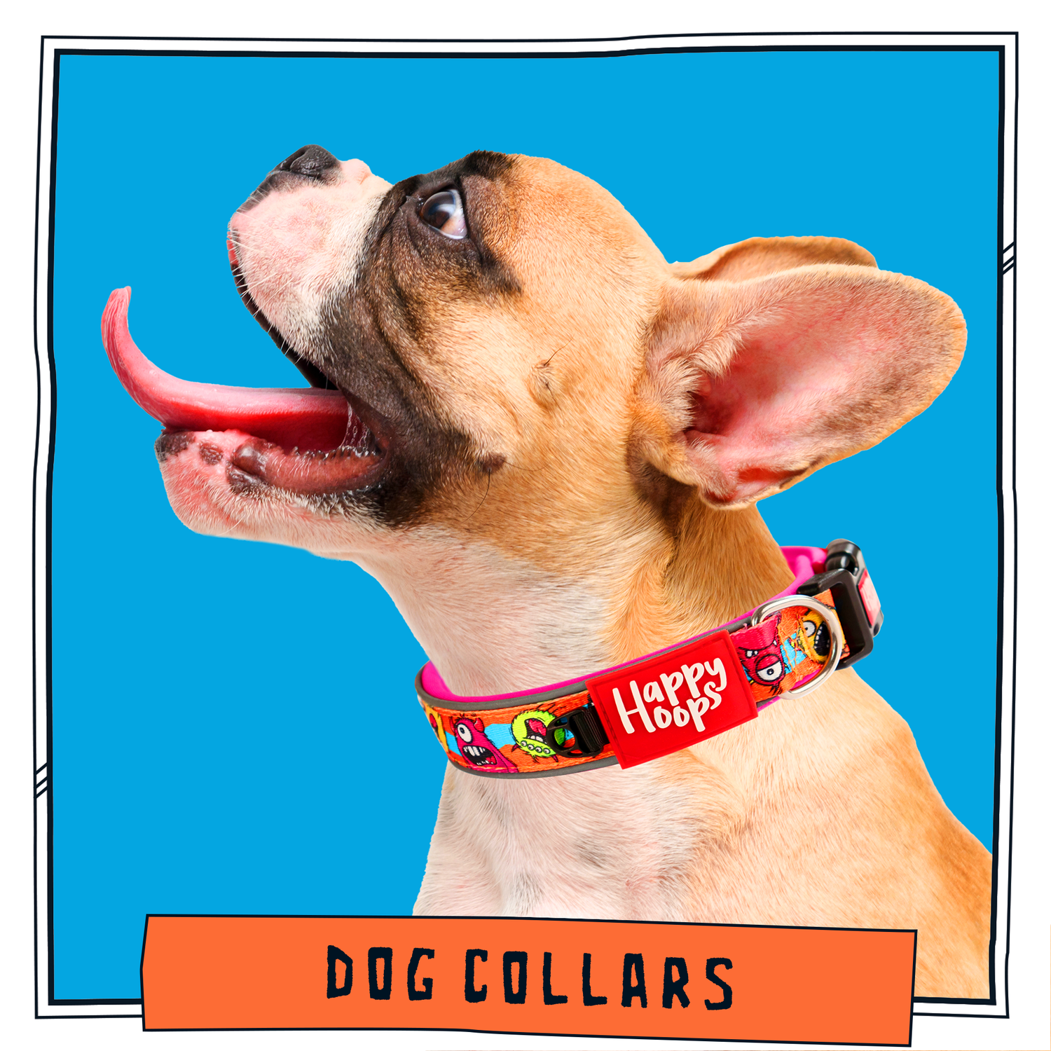 Dog Collars