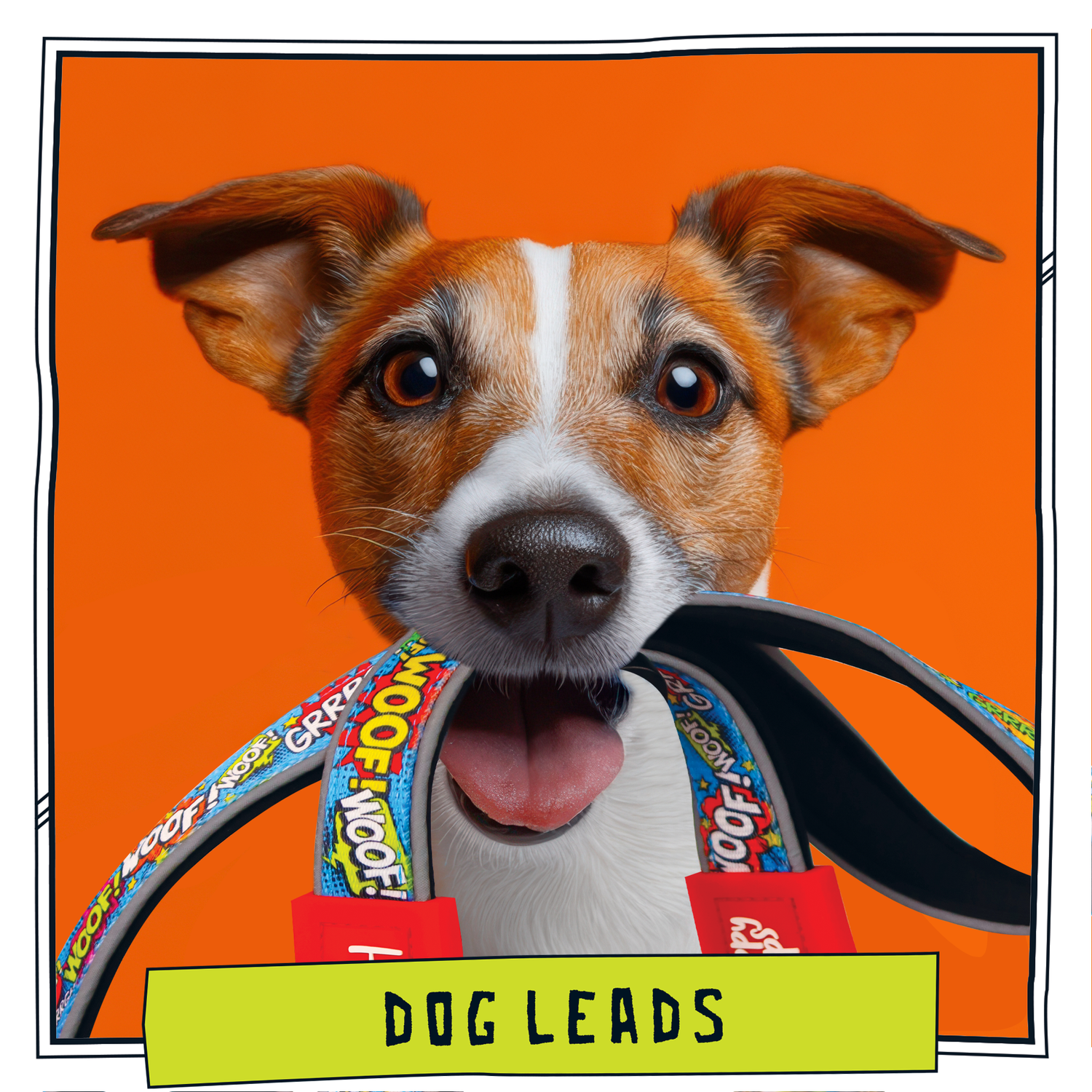 Dog Leads