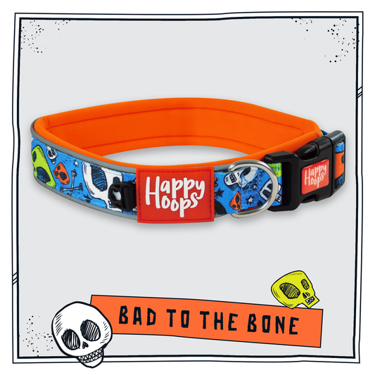 Happy Hoops blue and orange dog collar with funky skull and bones design with plush orange neoprene padding, reflective strips and velcro size adjustment