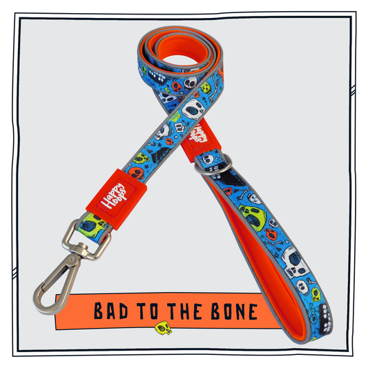 Blue and orange Happy Hoops dog lead with funky skull and bone print design with plush orange neoprene padding, reflective strips, robust 360 degree metal rotating clasp and rust proof stainless steel D-ring.