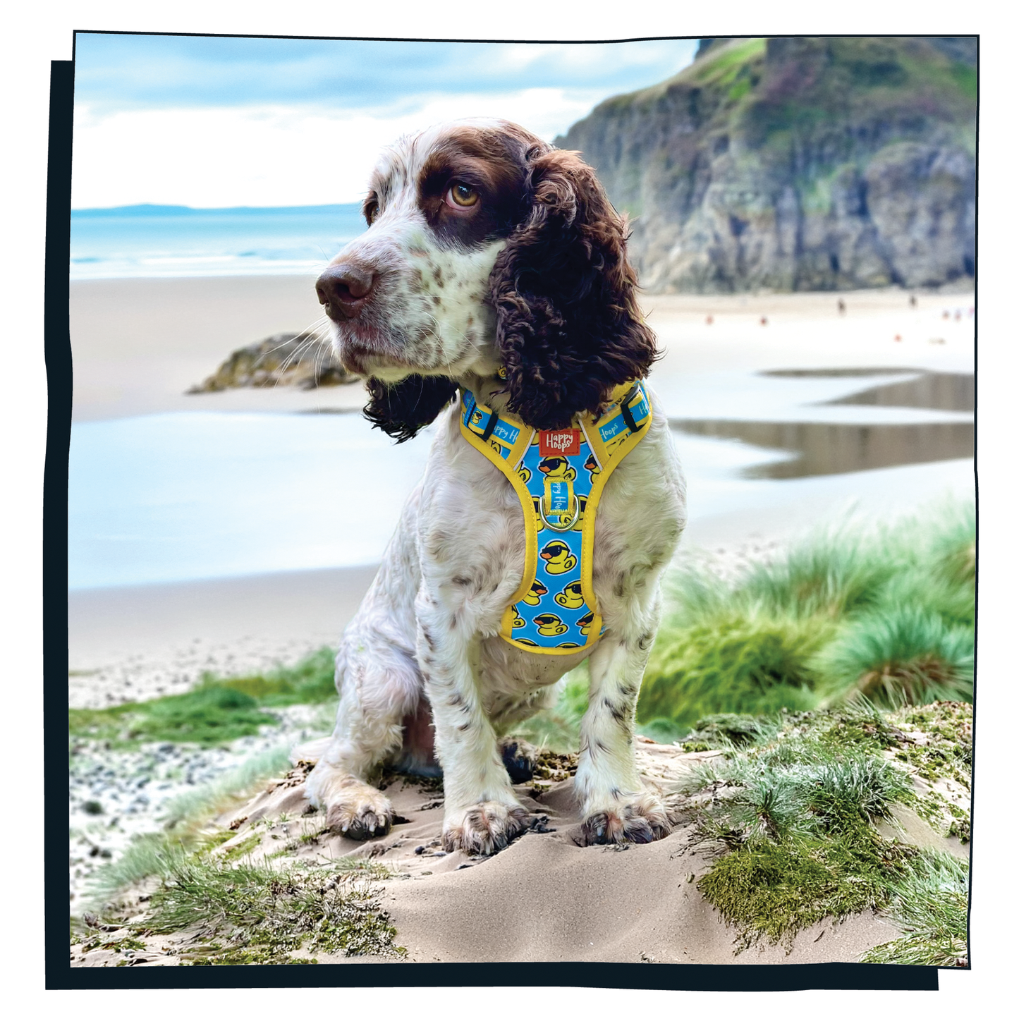 'Cool as Duck' Happy Harness