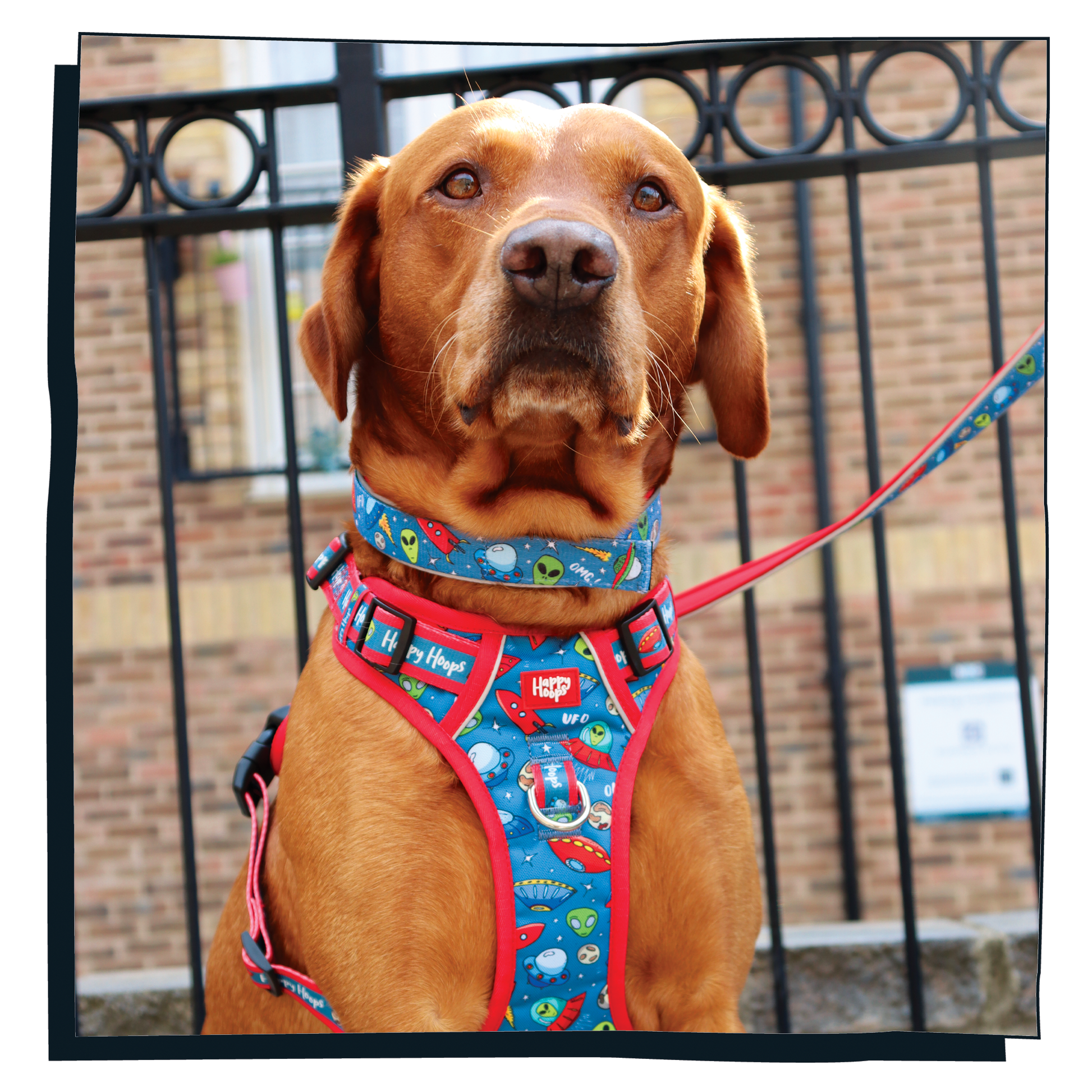 Happy Hoops 'Out of this World' colourful dog harness with space-themed ufo, alien design 