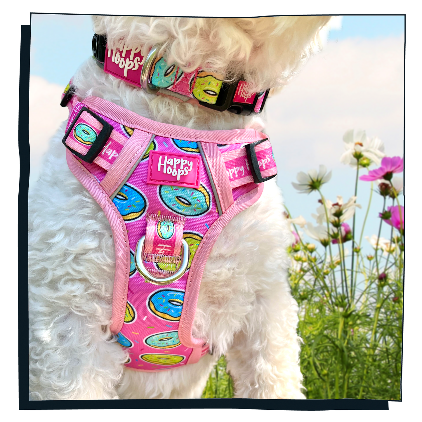 'Doggy Donut' Happy Harness