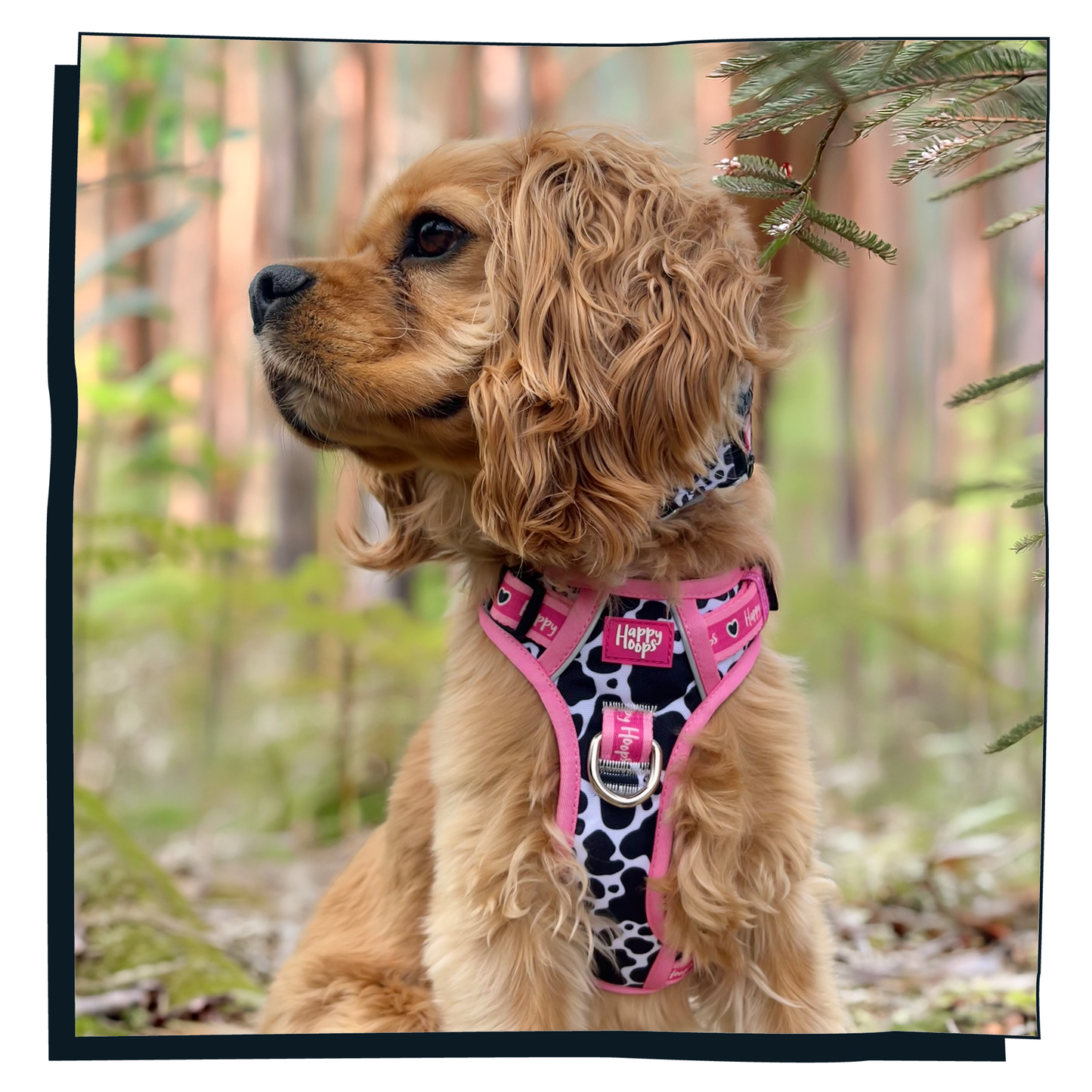 'Udderly Perfect' Happy Harness