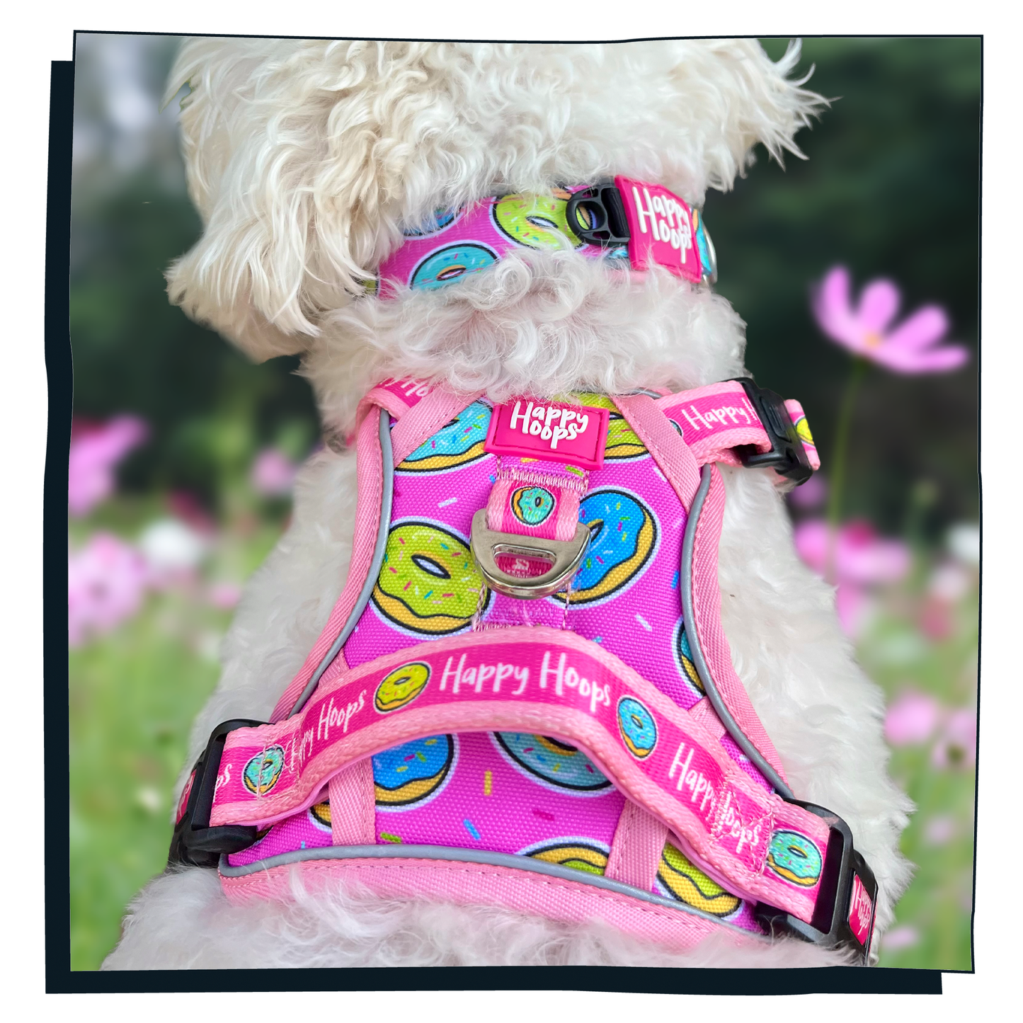 'Doggy Donut' Happy Harness