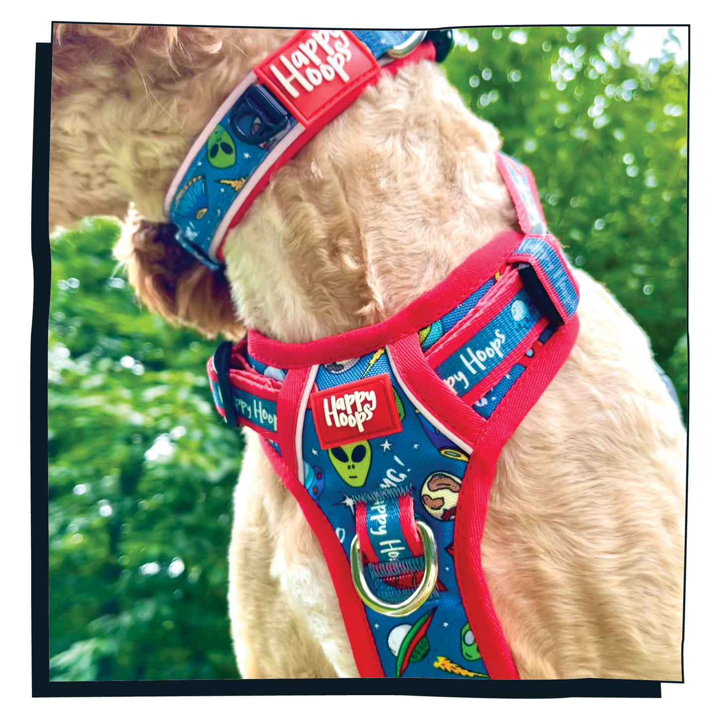 'Out of this World' Happy Harness
