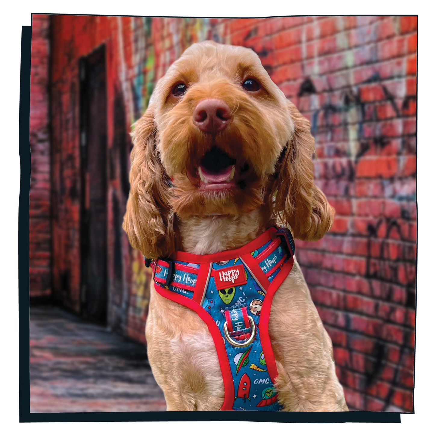 'Out of this World' Happy Harness