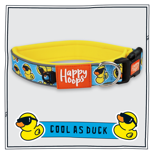 Happy Hoops 'Cool as Duck' dog collar with bright yellow and blue duck print pattern and reflective strips