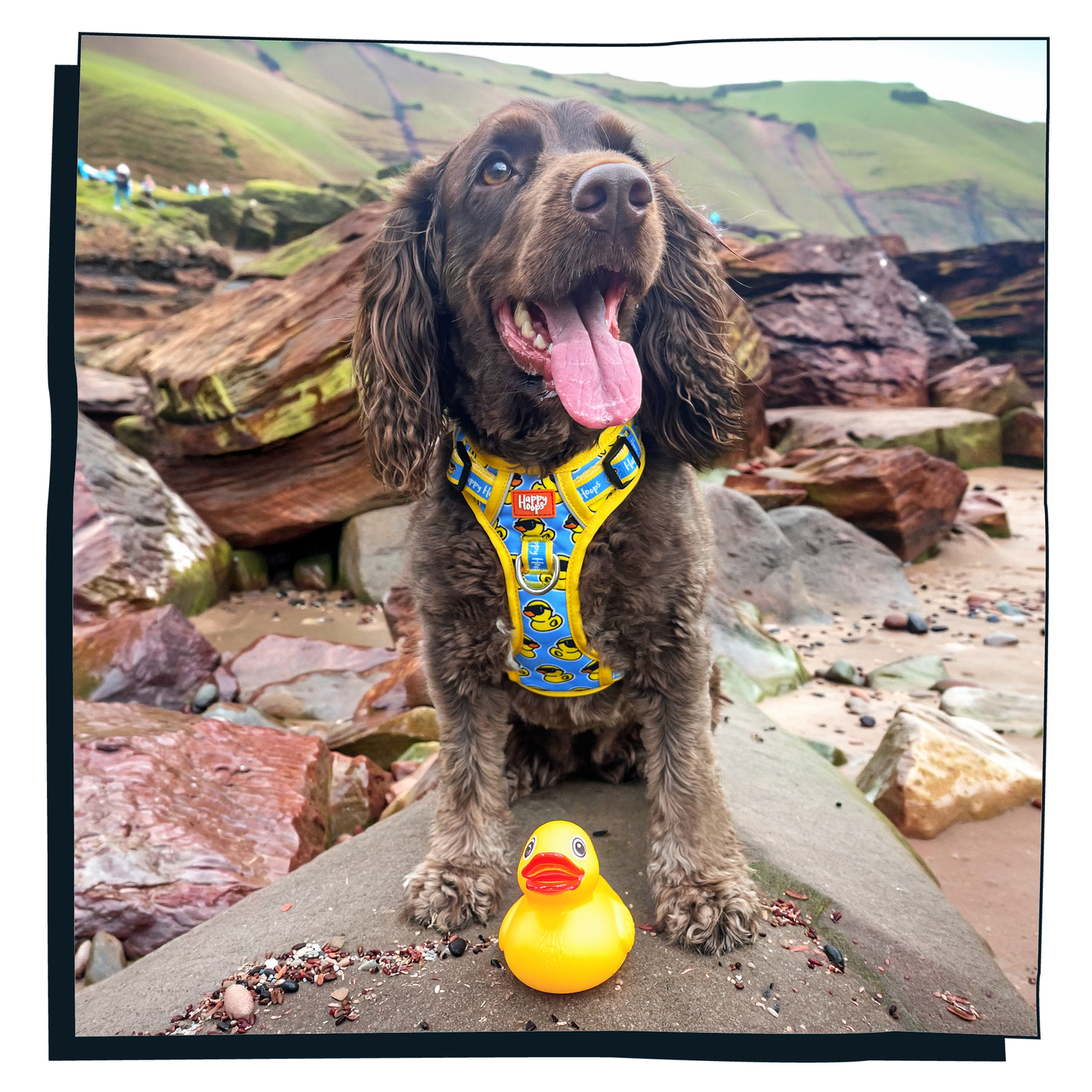 'Cool as Duck' Happy Harness