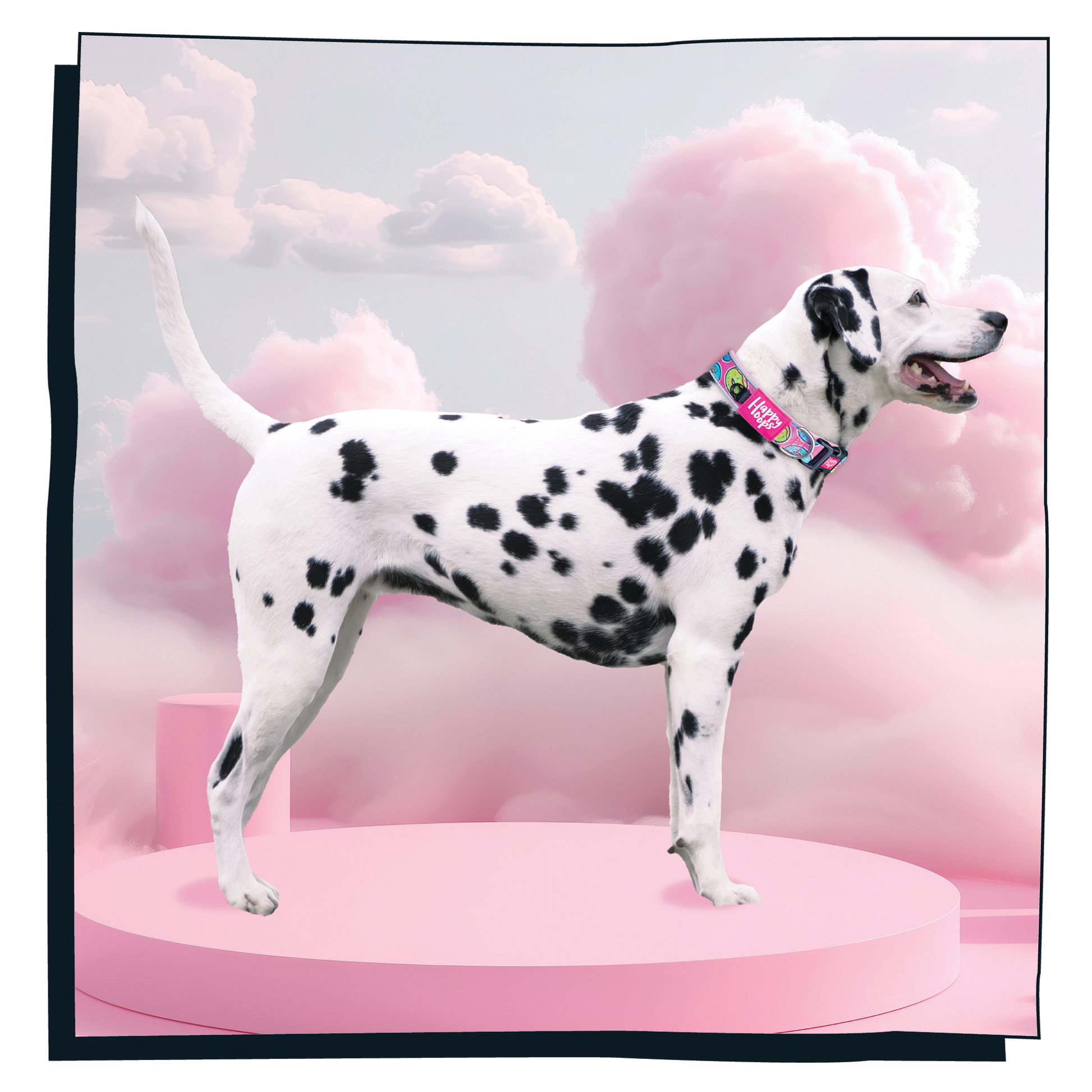 Dalmation dog wearing pink Happy Hoops dog collar with funky donut print design with plush pink neoprene padding, reflective strips and velcro size adjustment