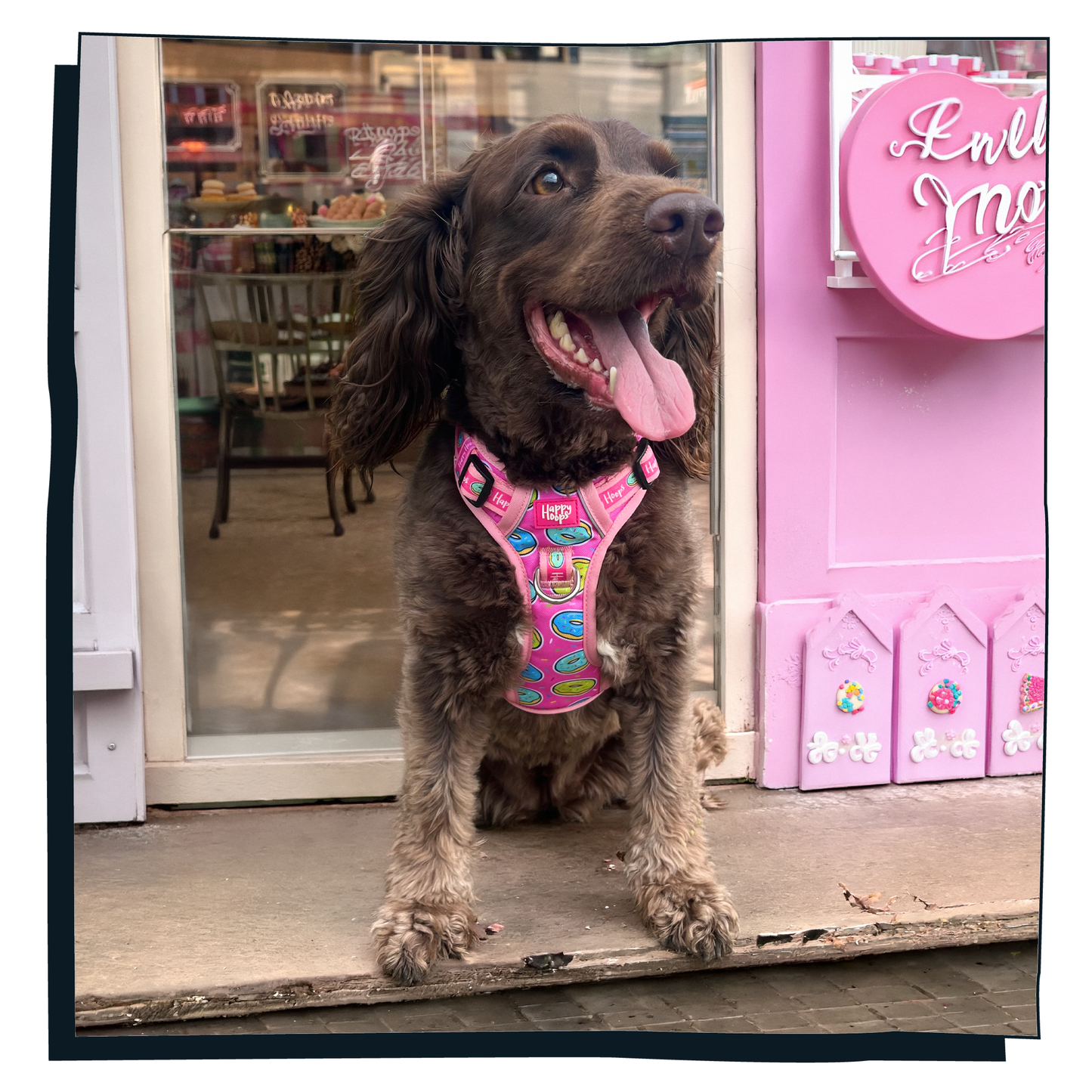 'Doggy Donut' Happy Harness