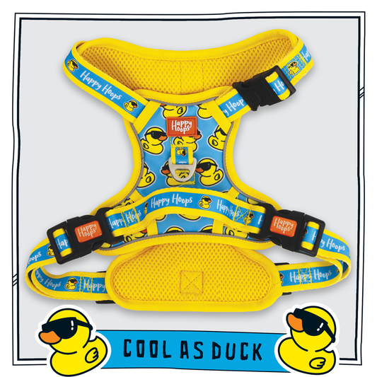 Happy Hoops 'Cool as Duck' funky dog harness with grab handle with bright yellow and blue rubber duck pattern