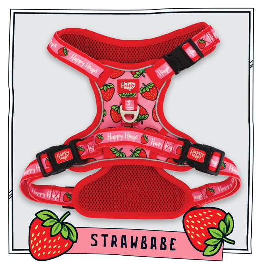 Happy Hoops 'Strawbabe' dog harness with grab handle with bright and funky red and pink strawberry pattern 
