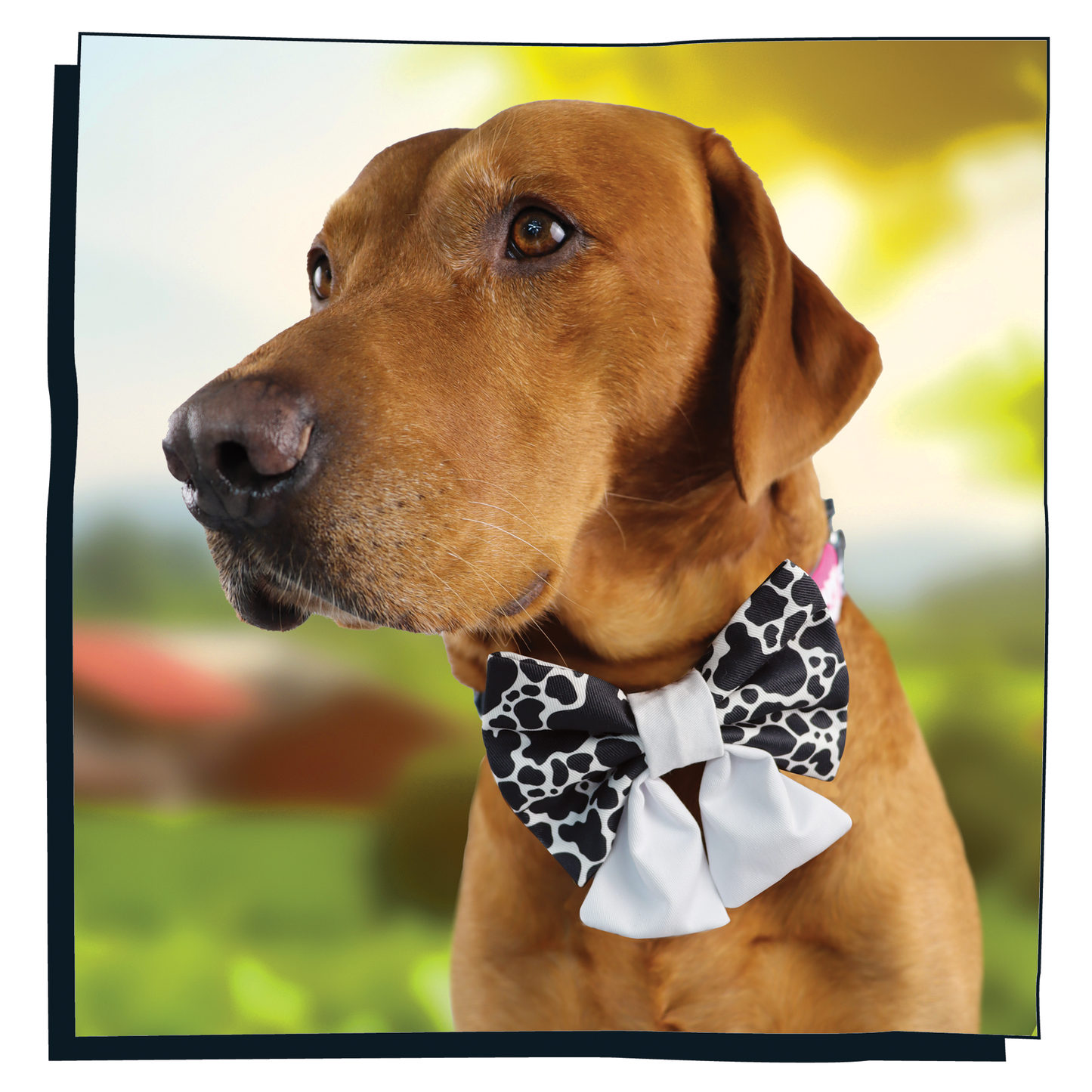 'Udderly Perfect' Sailor Bow Tie