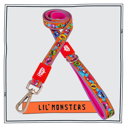 Blue and orange Happy Hoops dog lead with funky monsters print design with plush purple neoprene padding, reflective strips, robust 360 degree metal rotating clasp and rust proof stainless steel D-ring.