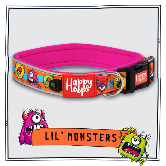 Happy Hoops cute and funky multicolour dog collar with cute colourful monster design with plush purple neoprene padding, reflective strips and velcro size adjustment
