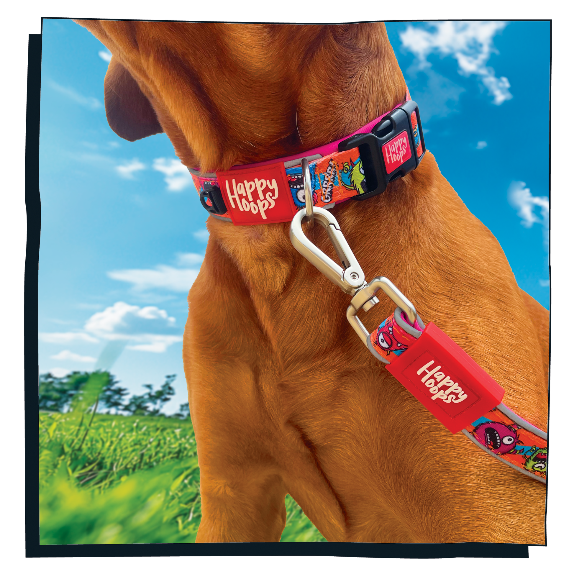 Dog wearing blue and orange Happy Hoops dog lead with funky monsters print design with plush purple neoprene padding, reflective strips, robust 360 degree metal rotating clasp and rust proof stainless steel D-ring.