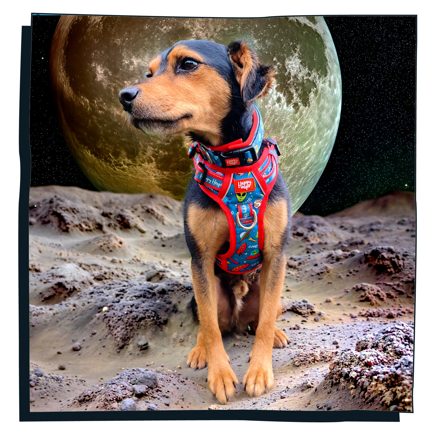 'Out of this World' Happy Harness