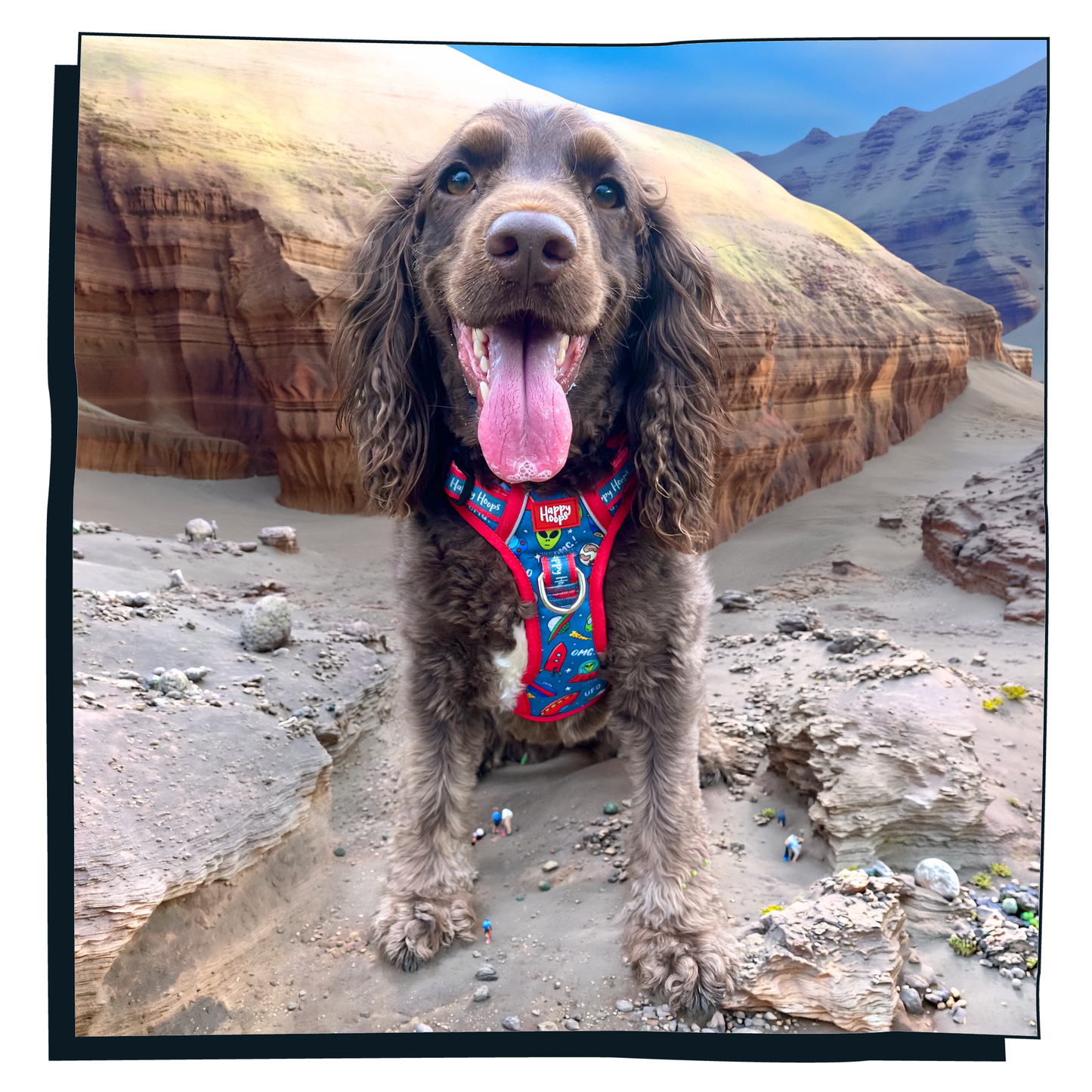 'Out of this World' Happy Harness