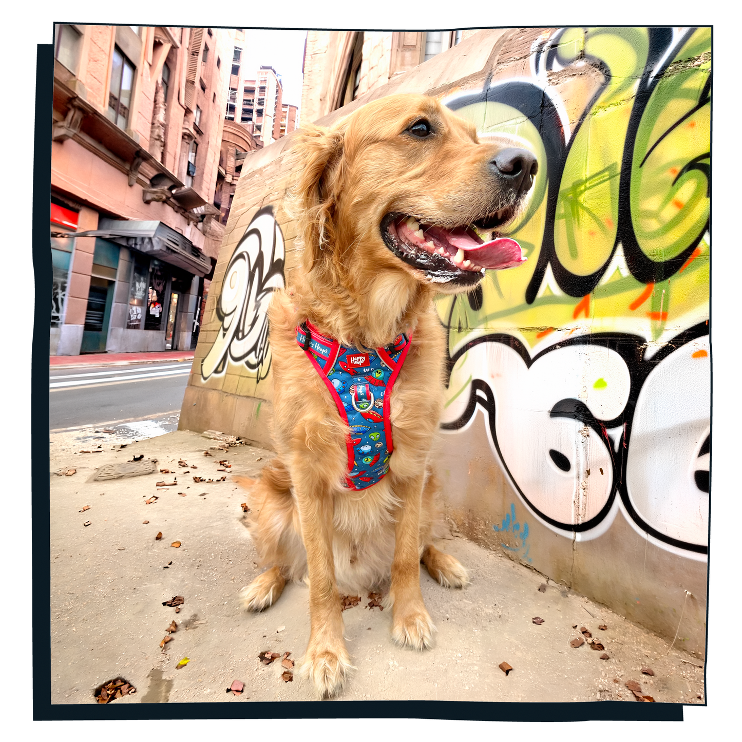 'Out of this World' Happy Harness