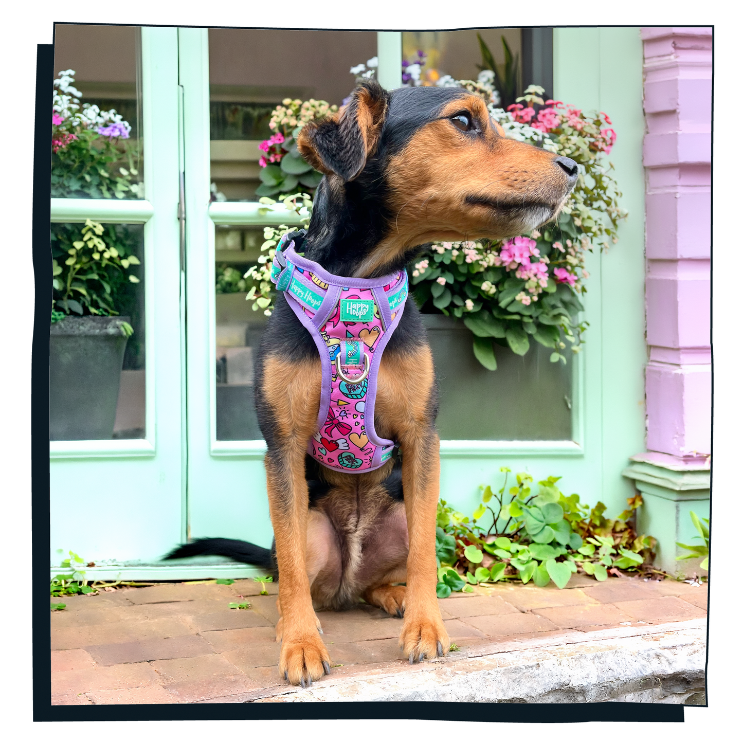 'Puppy Love' Happy Harness
