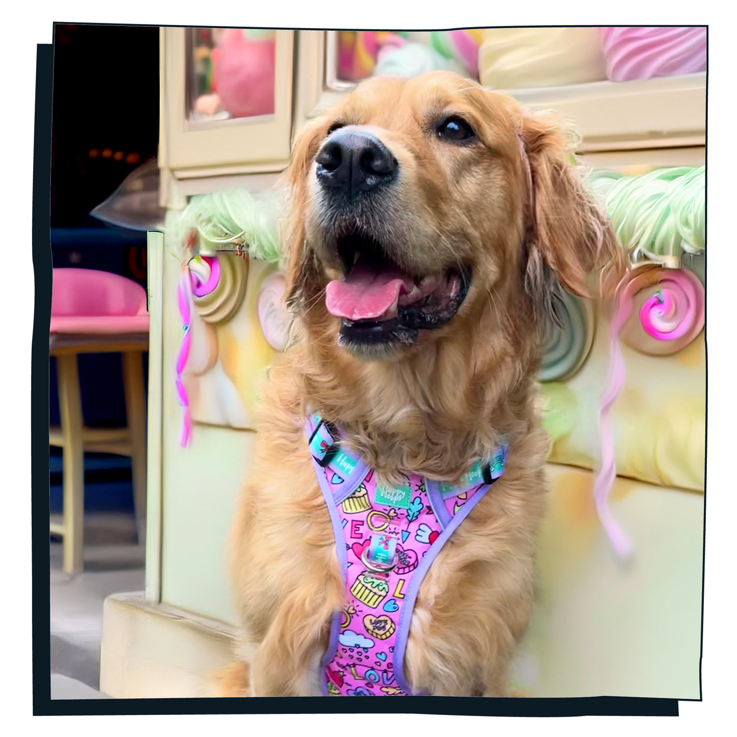 'Puppy Love' Happy Harness