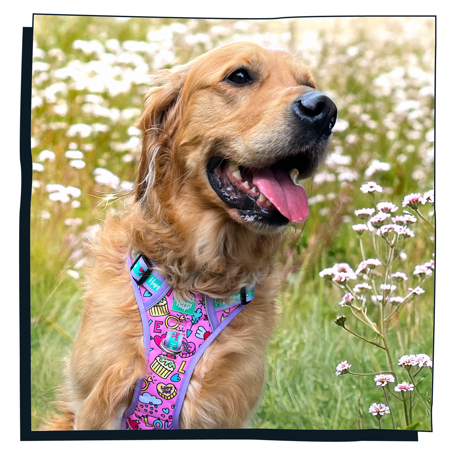 'Puppy Love' Happy Harness