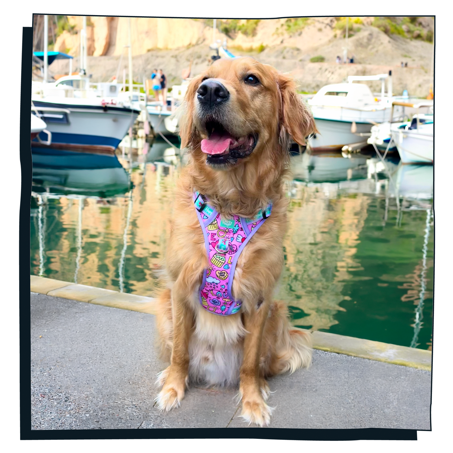 'Puppy Love' Happy Harness