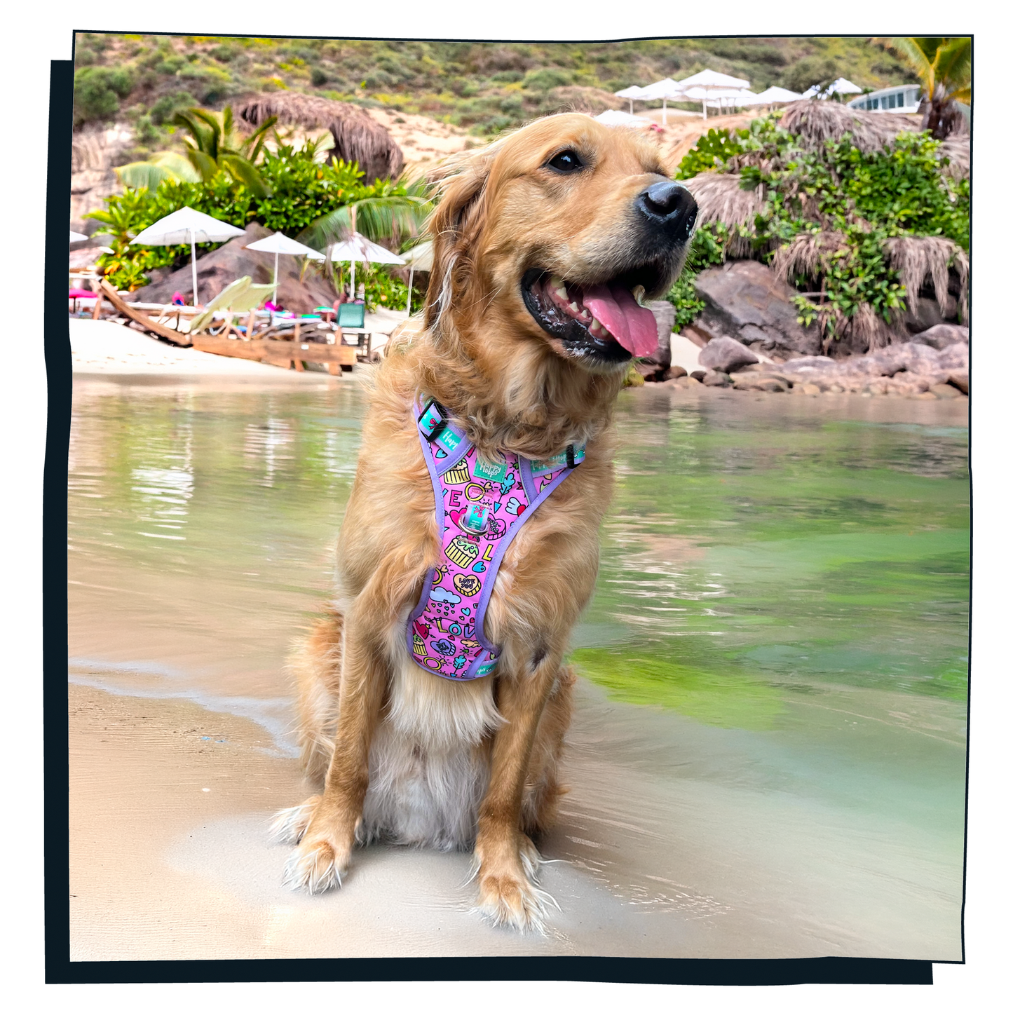 'Puppy Love' Happy Harness