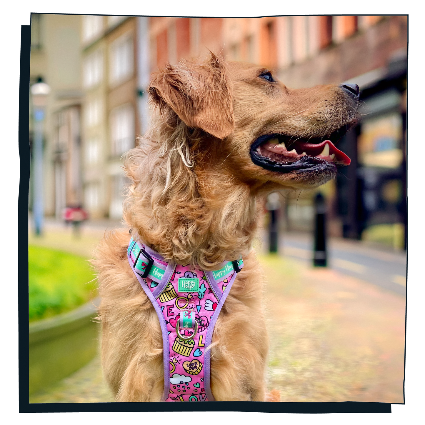 'Puppy Love' Happy Harness