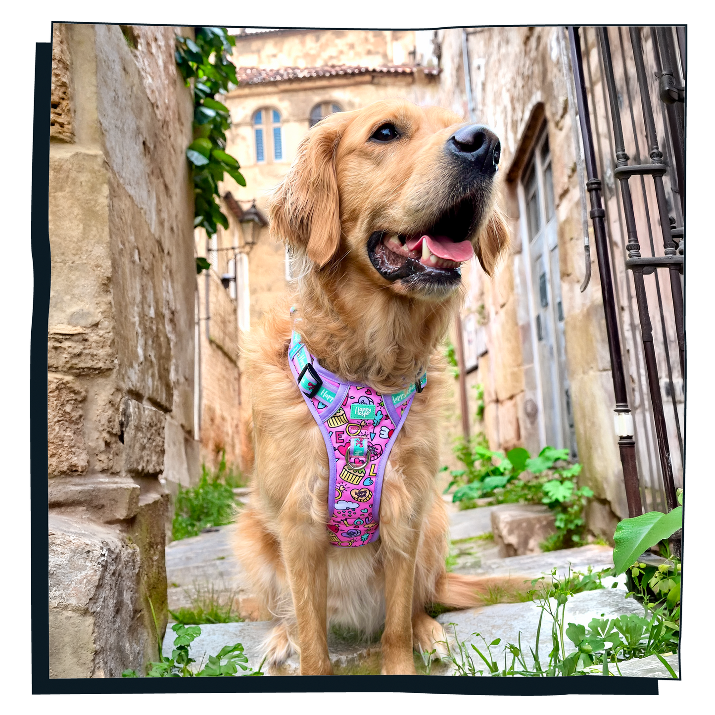 'Puppy Love' Happy Harness
