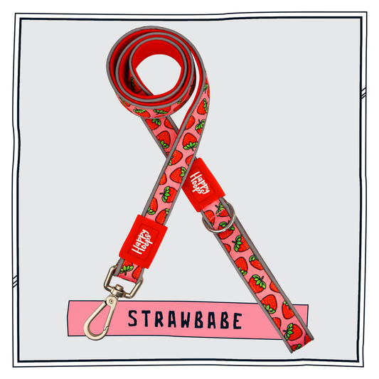 Happy Hoops 'Strawbabe' dog lead with funky strawberry pattern in pink and red with reflective strips and robust buckle