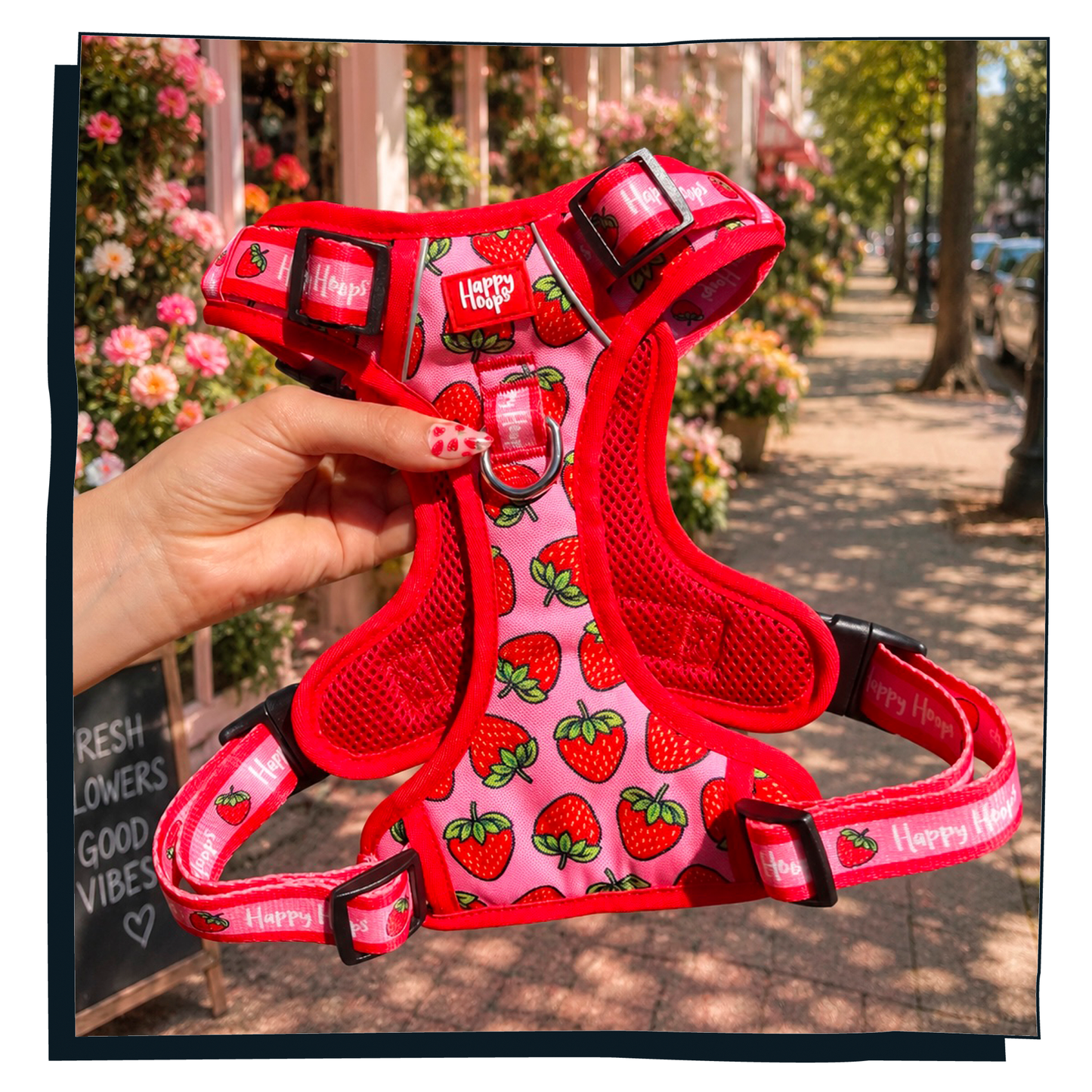 'Strawbabe' Happy Harness