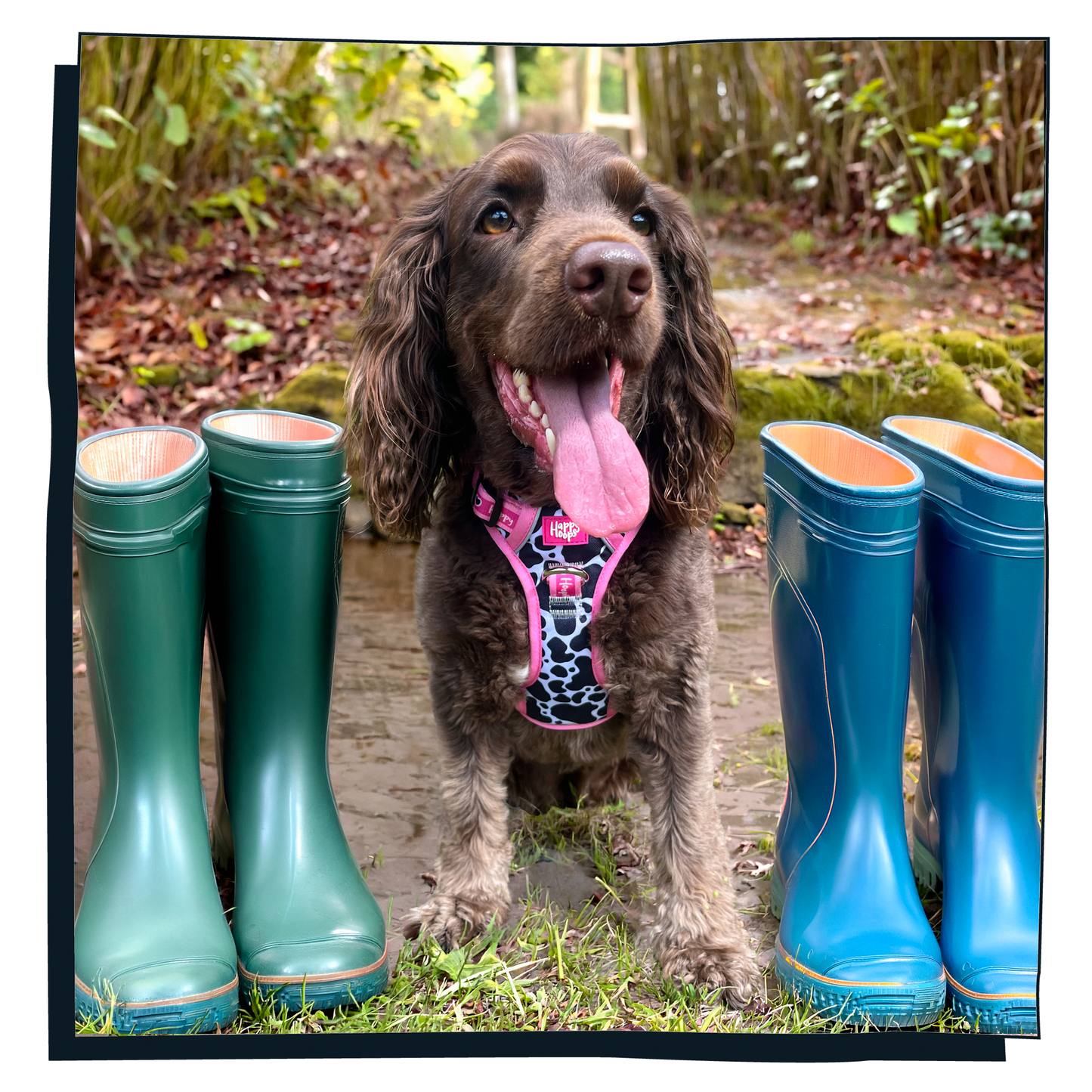 'Udderly Perfect' Happy Harness